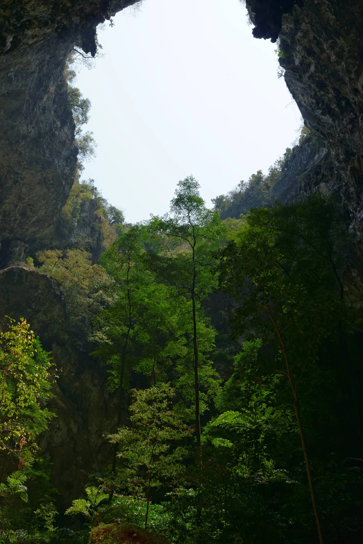 _DSC2834_DxO.jpg