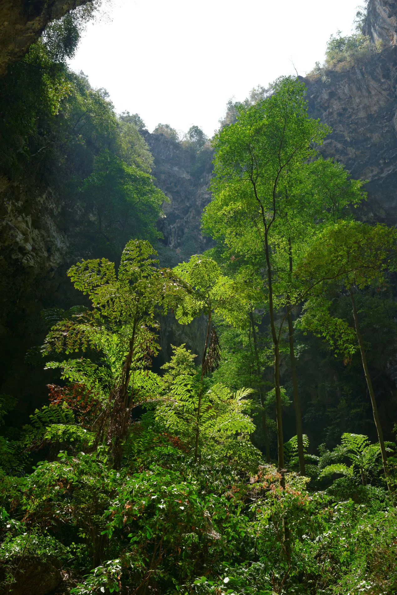 _DSC2839_DxO.jpg