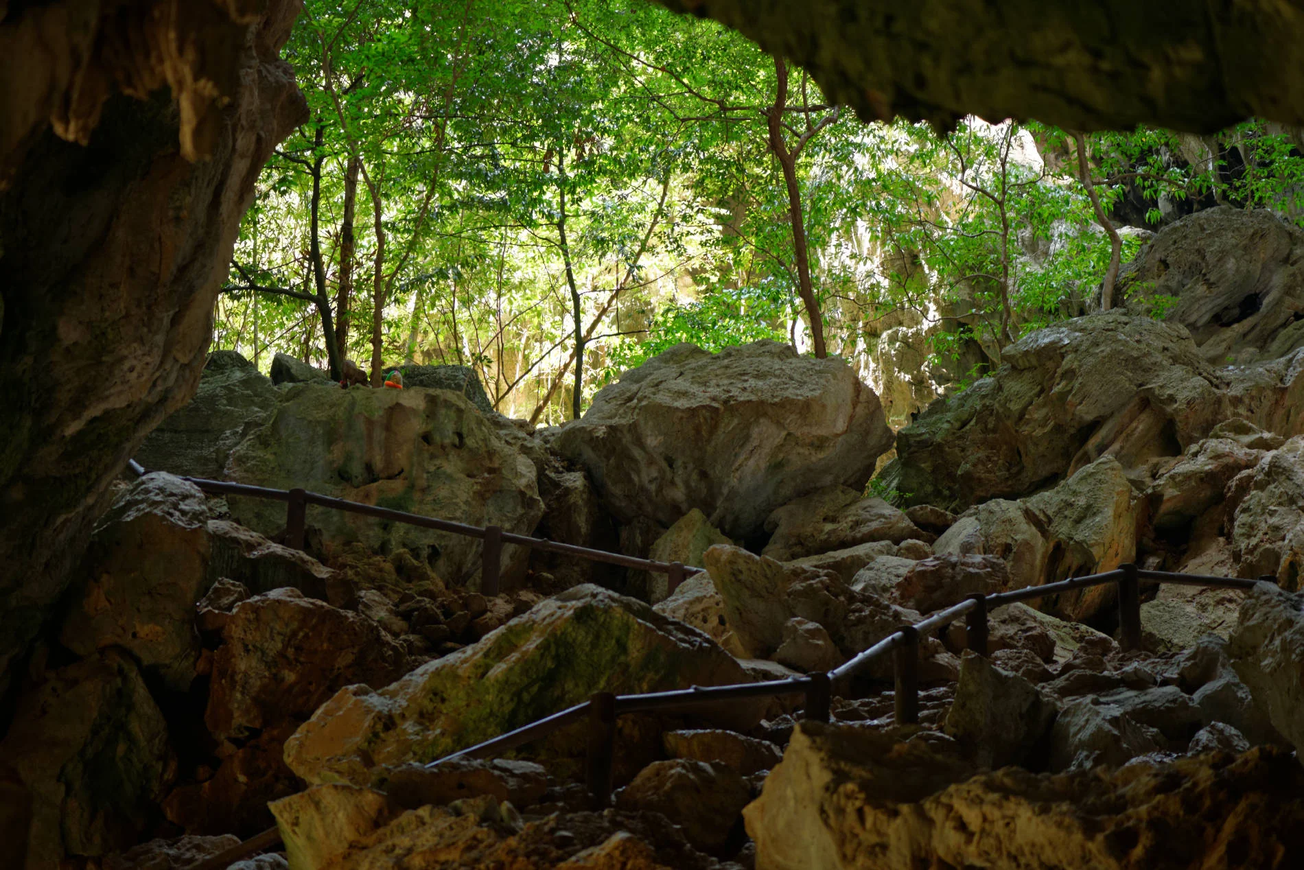 _DSC2864_DxO.jpg