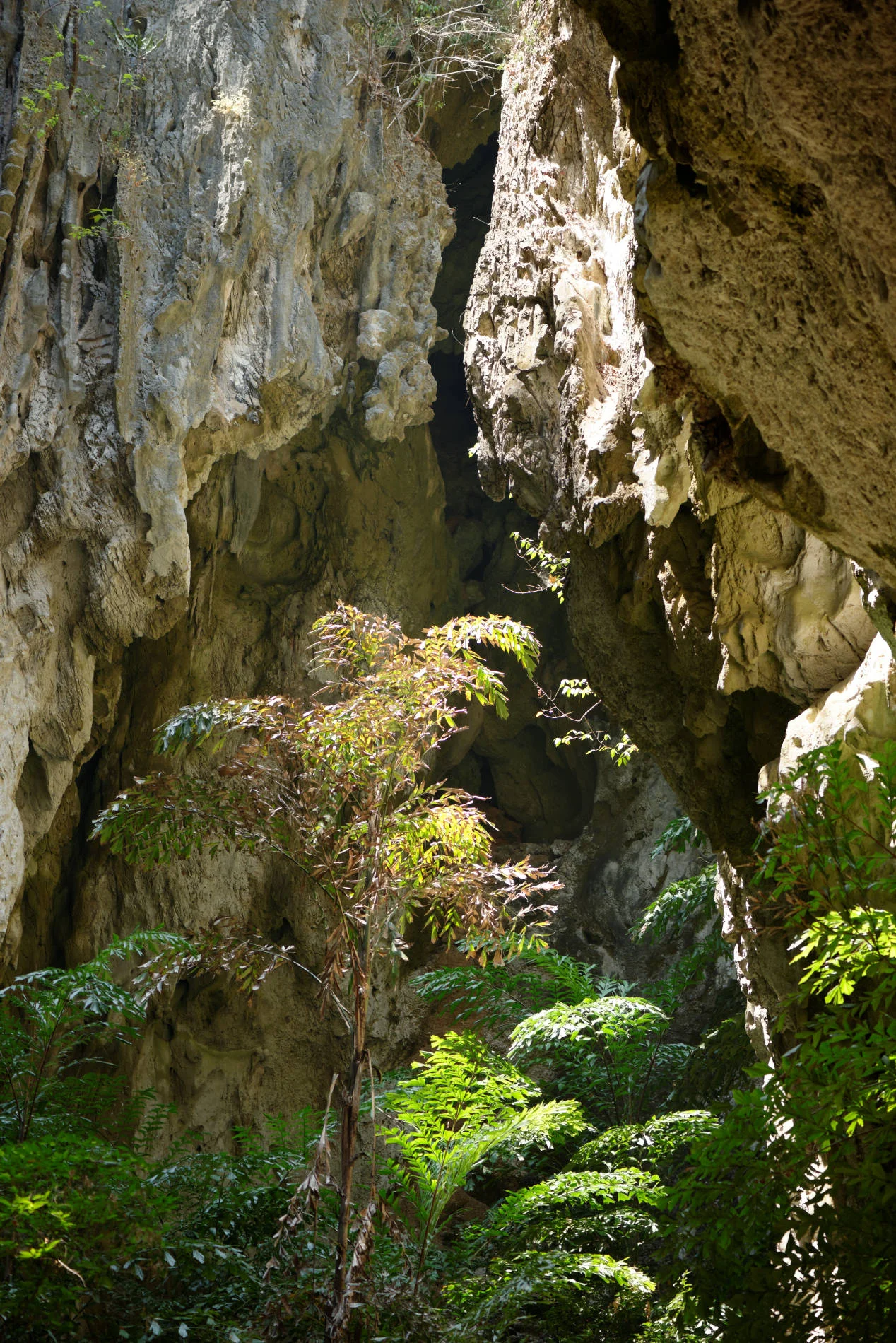 _DSC2865_DxO.jpg