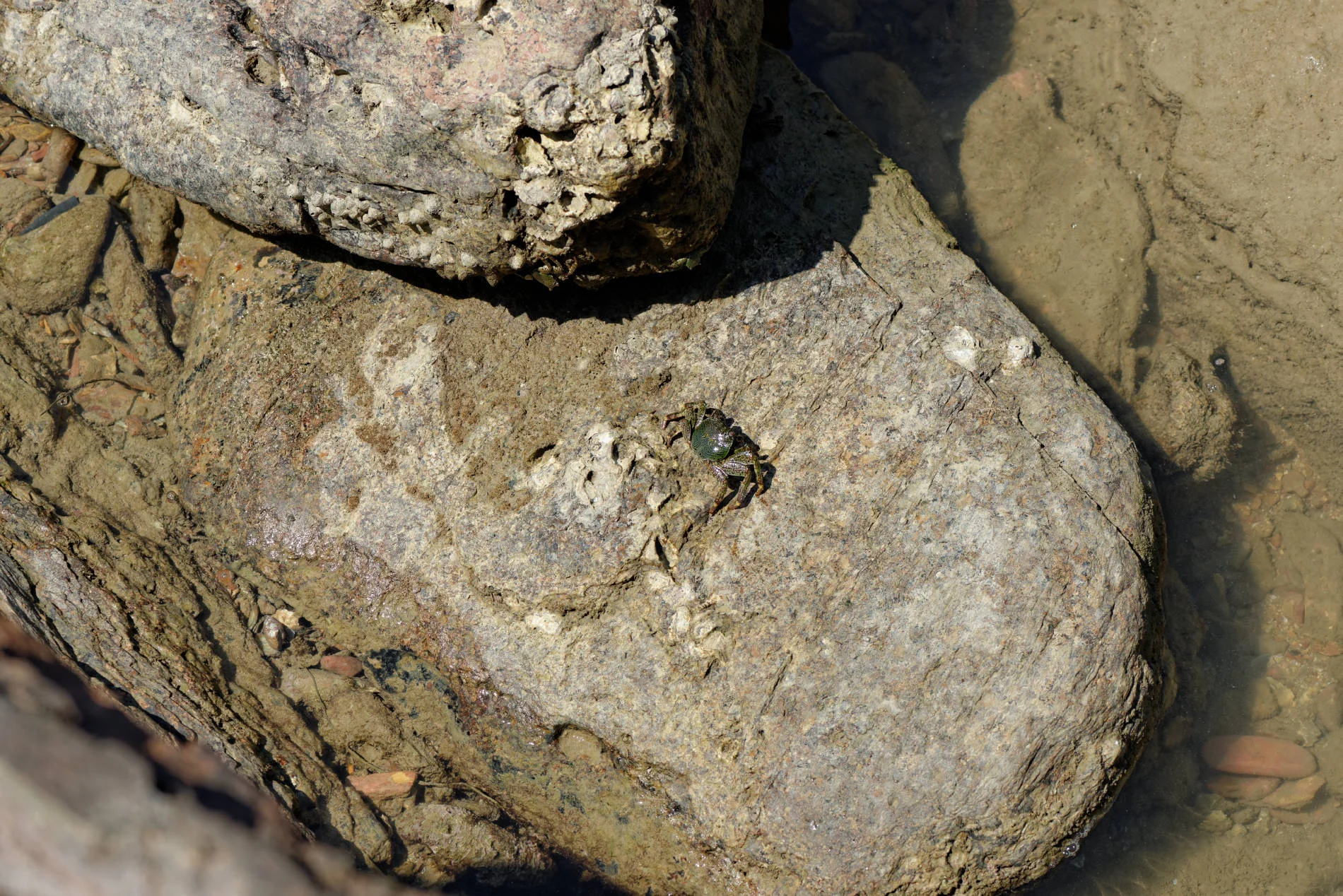 _DSC2993_DxO.jpg