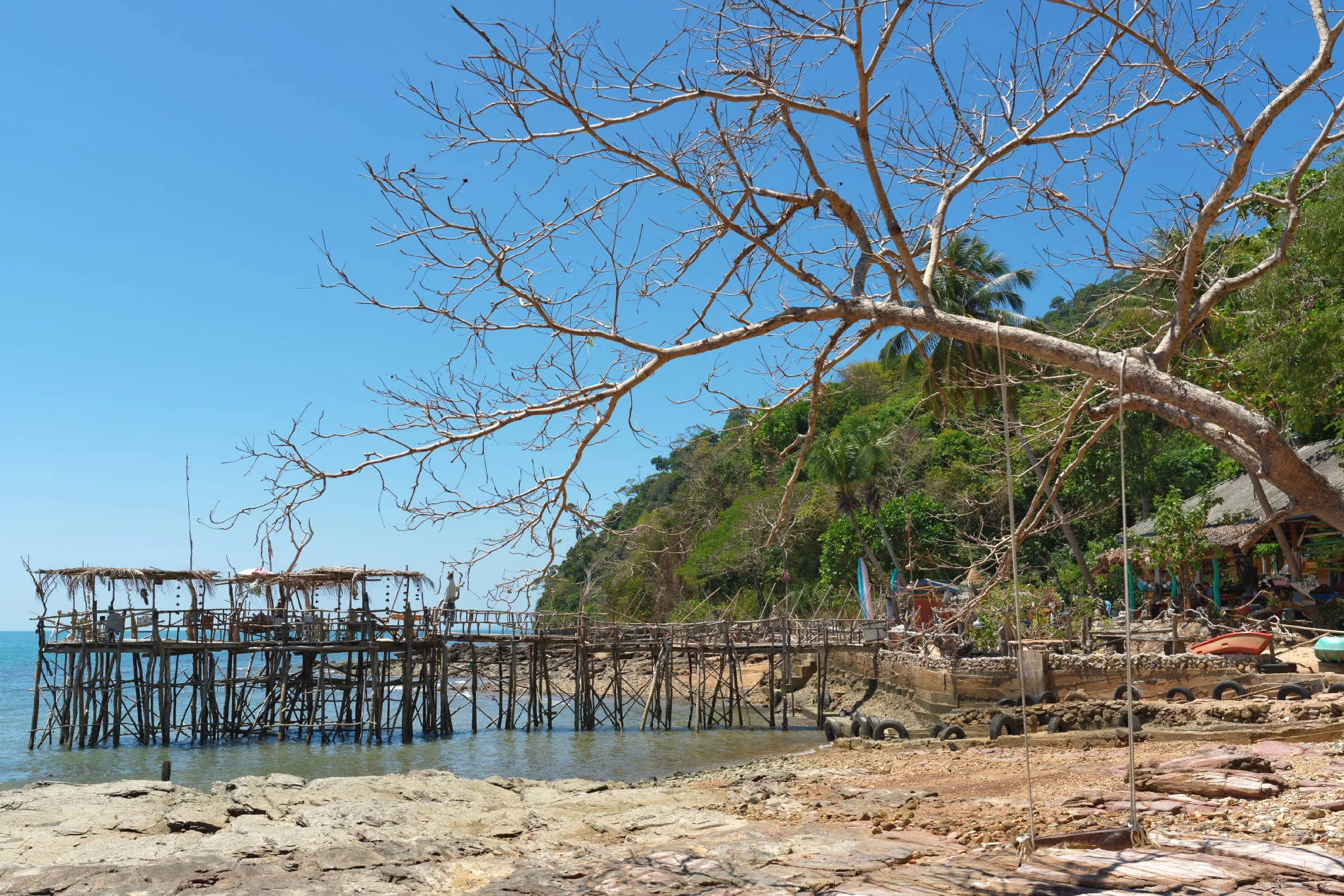 _DSC3085_DxO.jpg