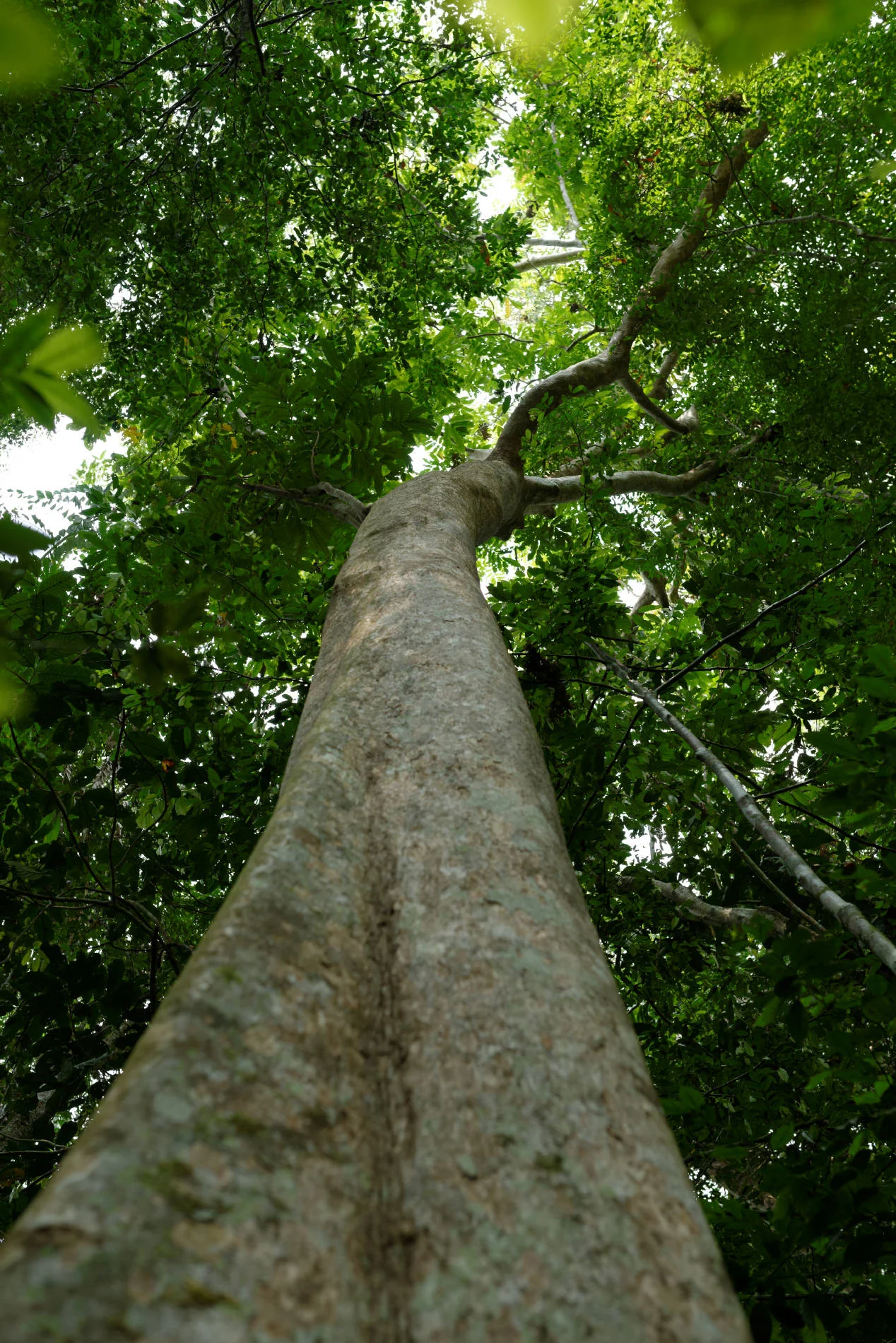 _DSC3497_DxO.jpg