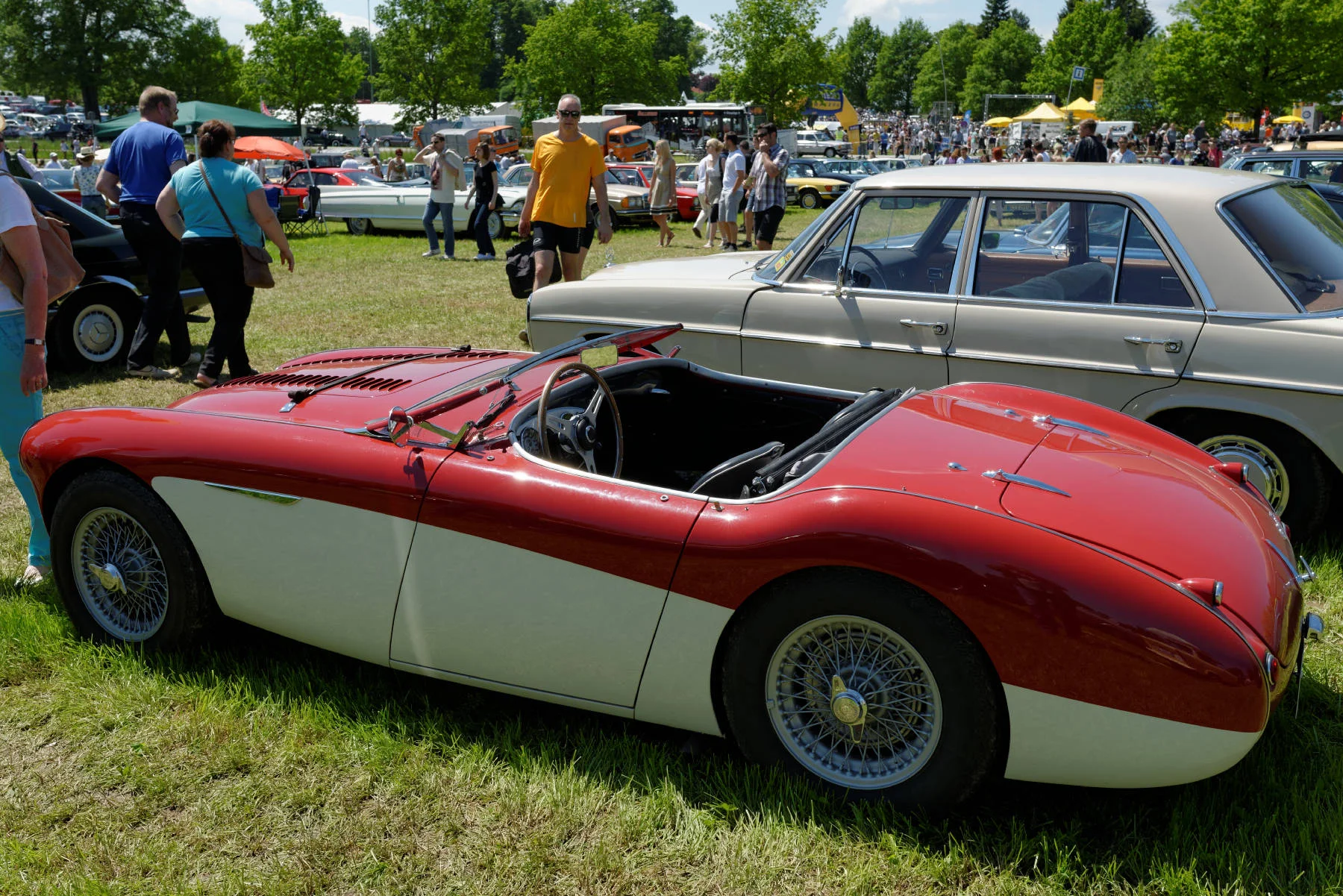 _DSC4295_DxO.jpg
