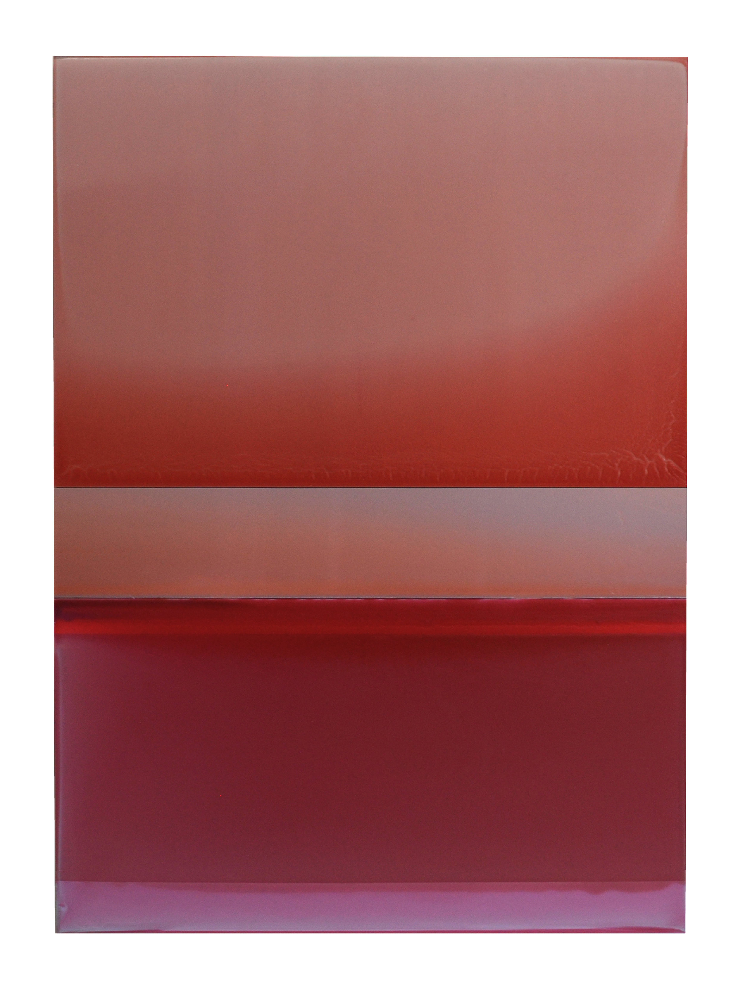 NYFA10_Kermes and Cochineal_2017_33x24_tinted polymer on panel.jpeg
