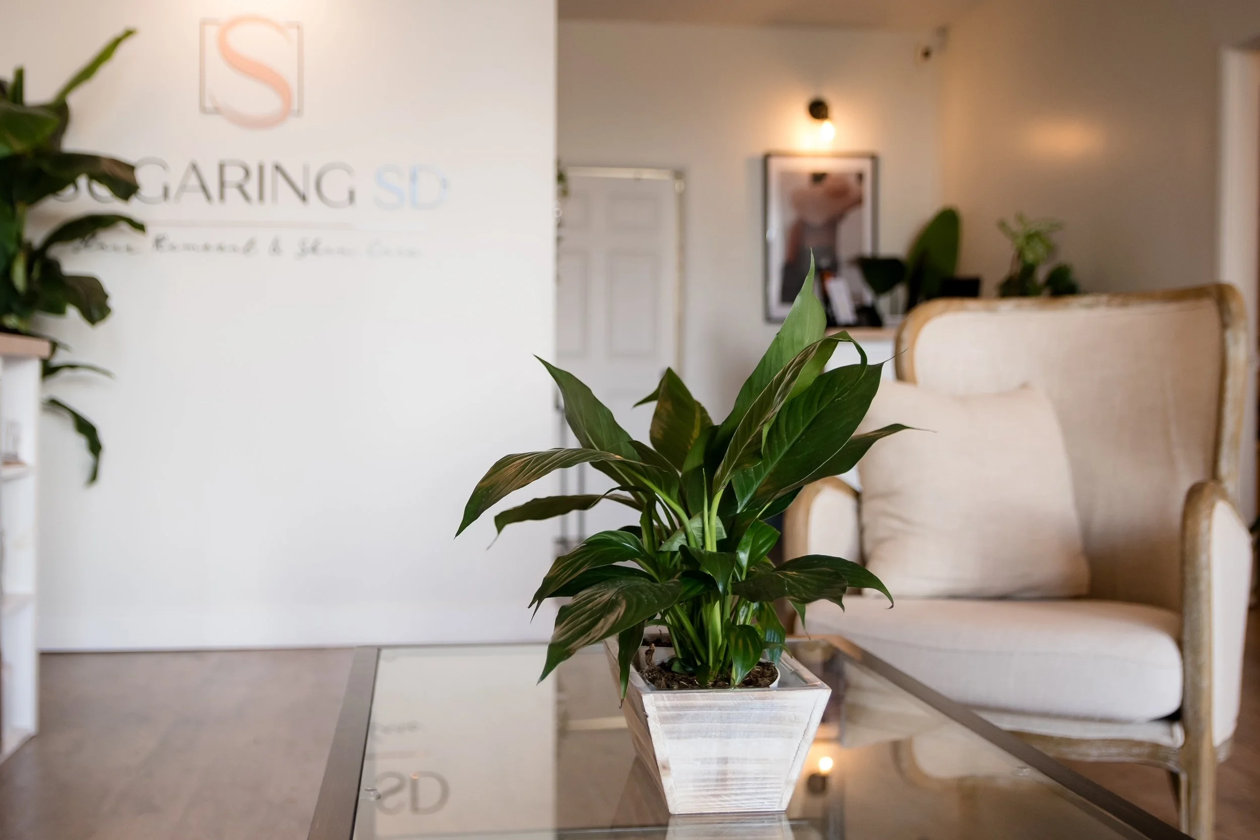 Sugaring SD Studio