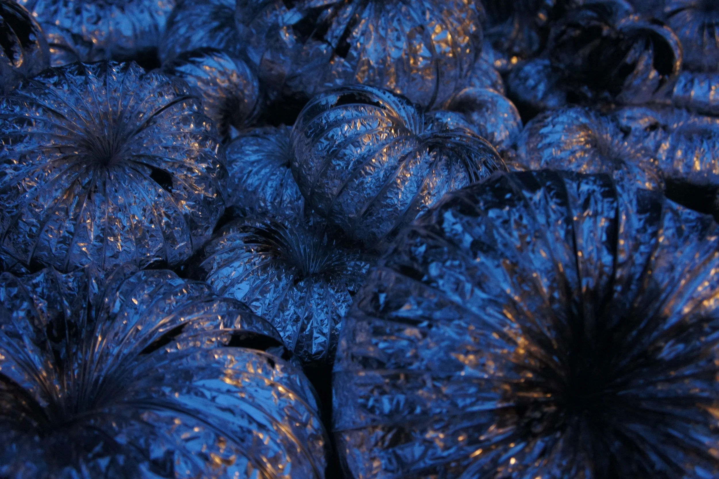 trash04.jpg