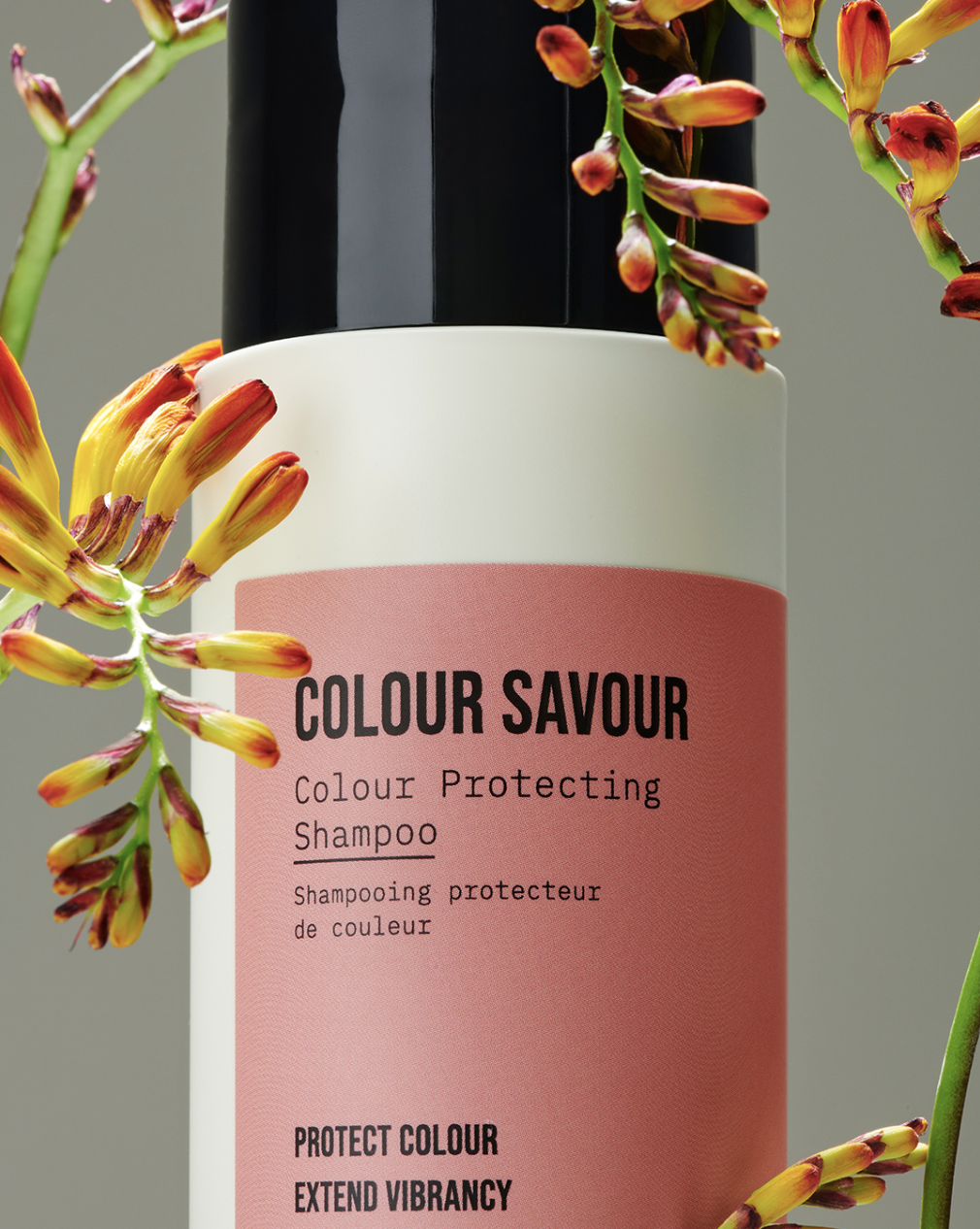 Screen Shot 2023-02-17 at 4.32.40 PM.png