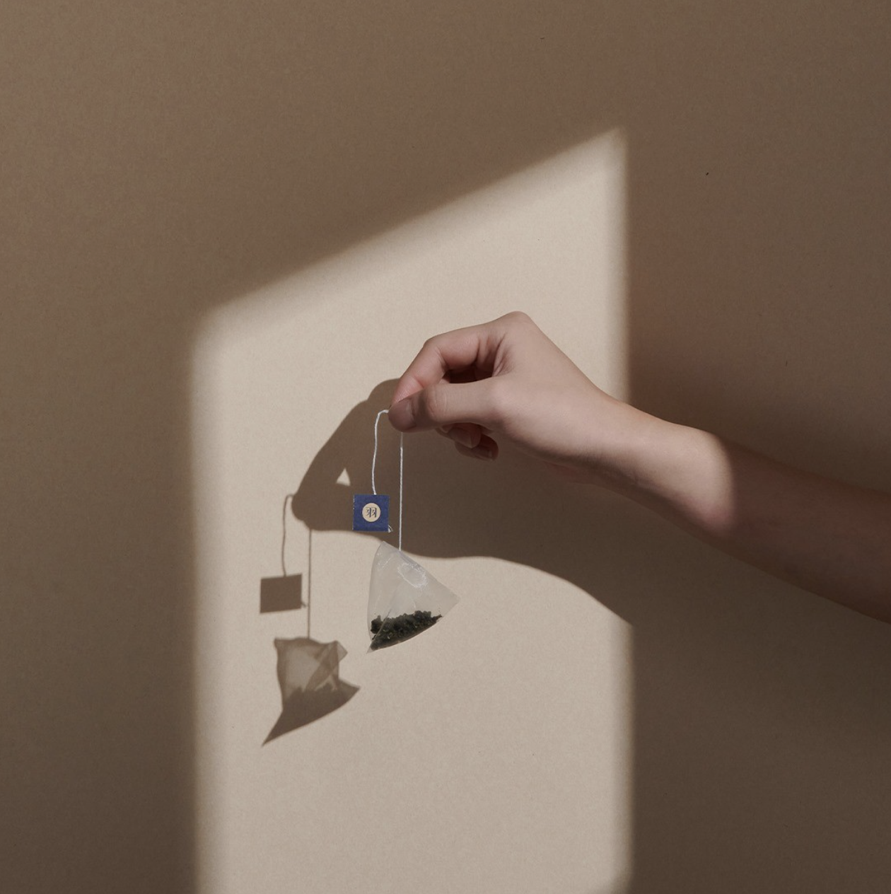 Screen Shot 2023-02-22 at 1.16.57 PM.png