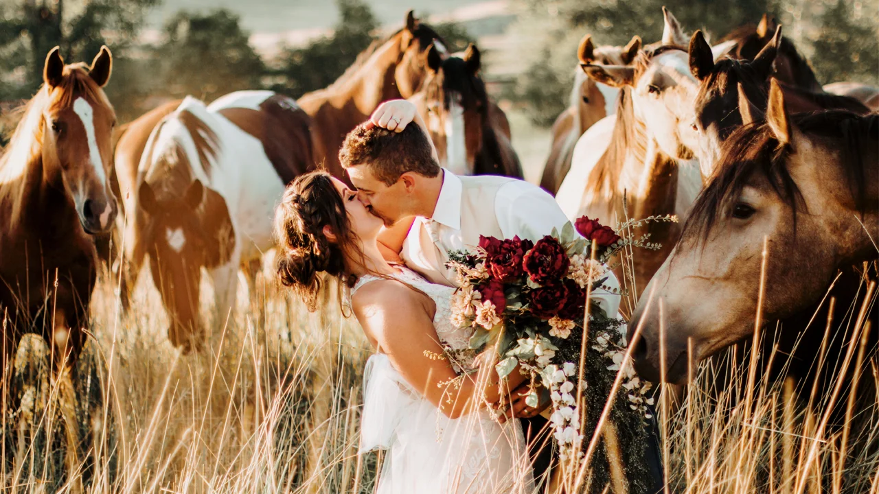 Hunter + Jaylee Chladek || Garrison, MT Wedding Film