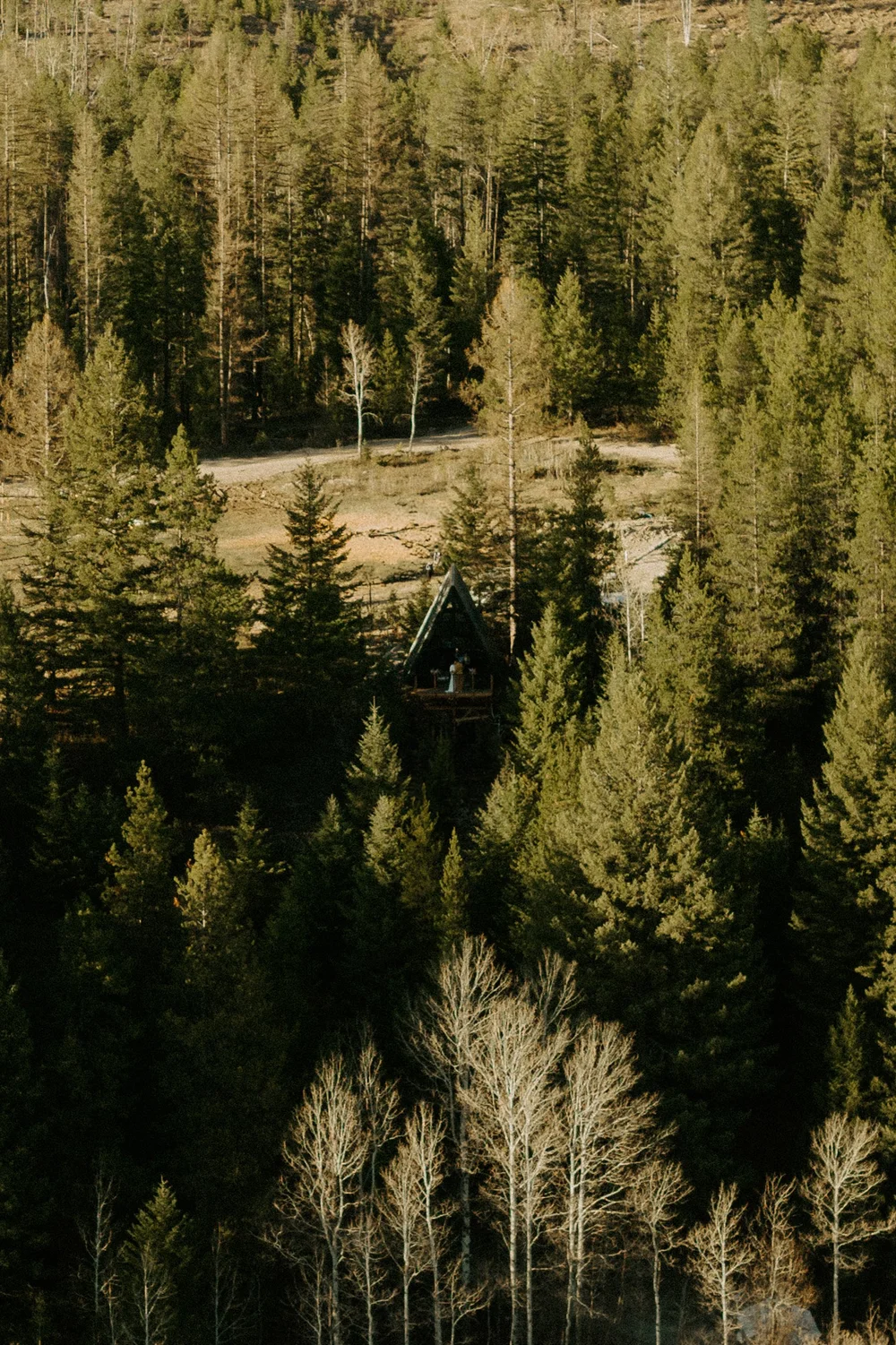 how-to-get-married-at-stay-treetops-glacier-national-park-a-frame-cabins-53.jpg