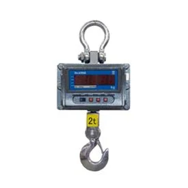 B-Tek WorldWeigh PGE-WT Crane Scale