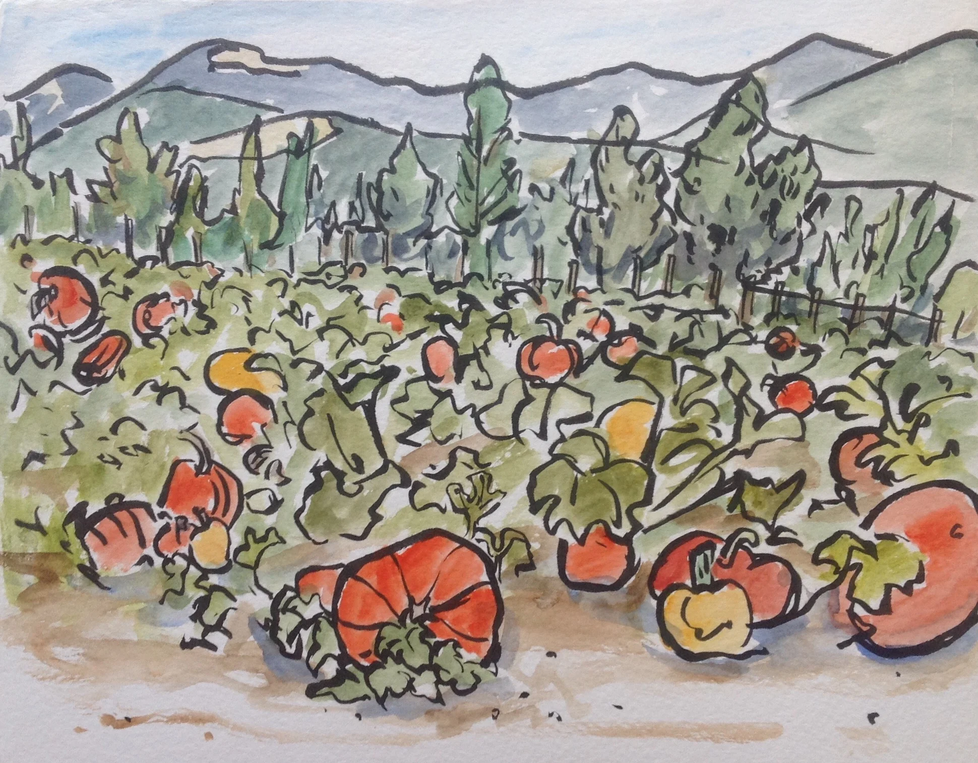 Siemer's Farm in GreenBluff has all the pumpkins you need!