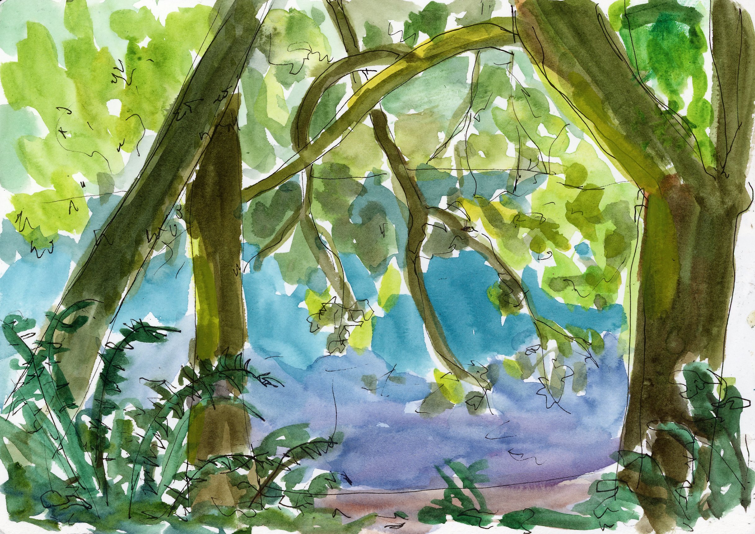 This was the view from our campsite. I could see why this was Danielle’s favorite campground in the area! Lake Crescent is incredibly clear and I was fascinated by the way the color of the lake changed depending on the depth of the water. I painted this as the light shone through the trees and adorable duck families paddled by. A great memory.