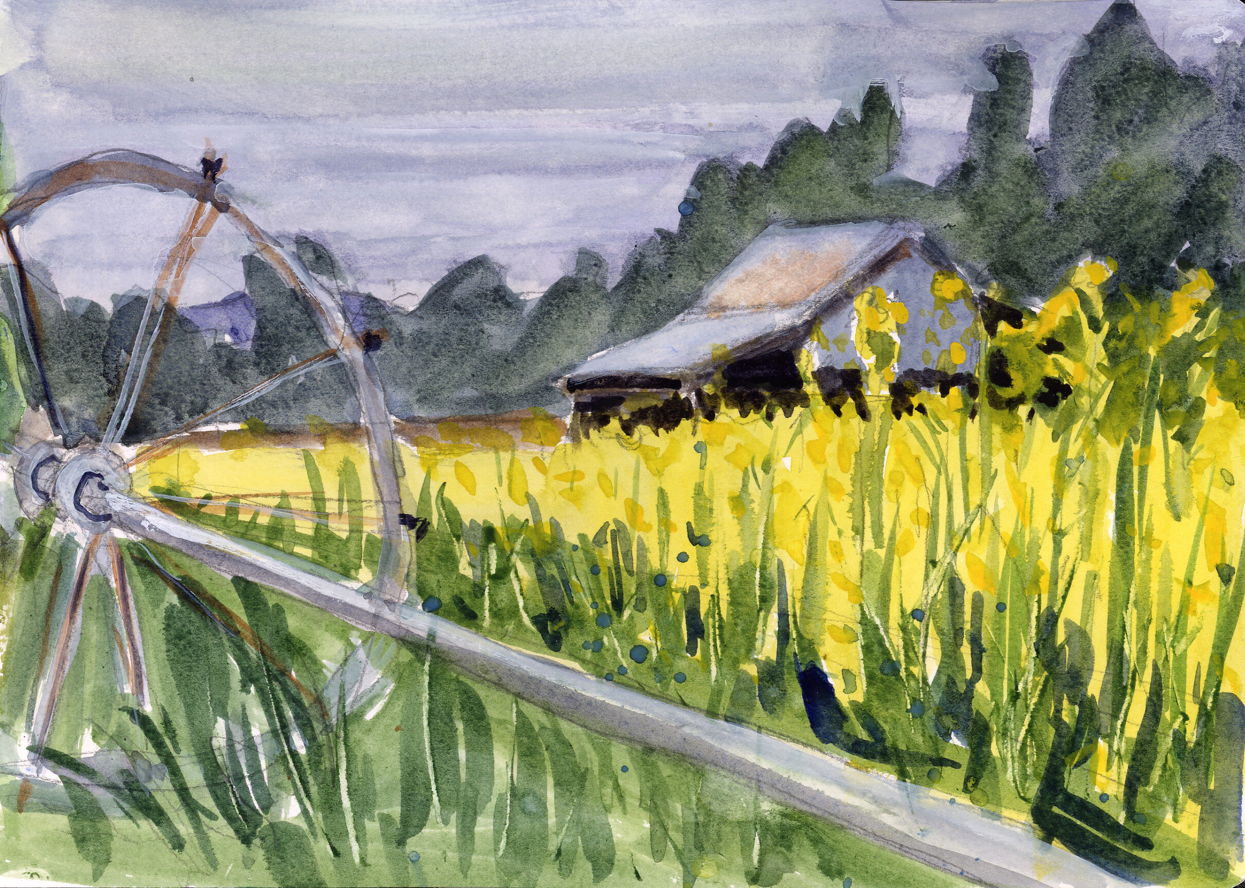 Blog Megan Perkins Art