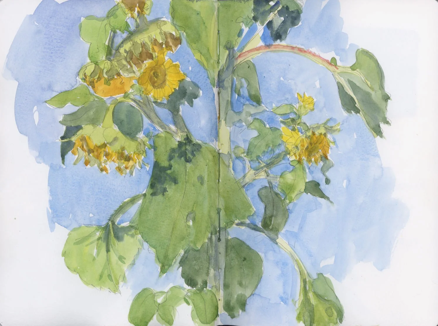 Watercolor Under the Willows