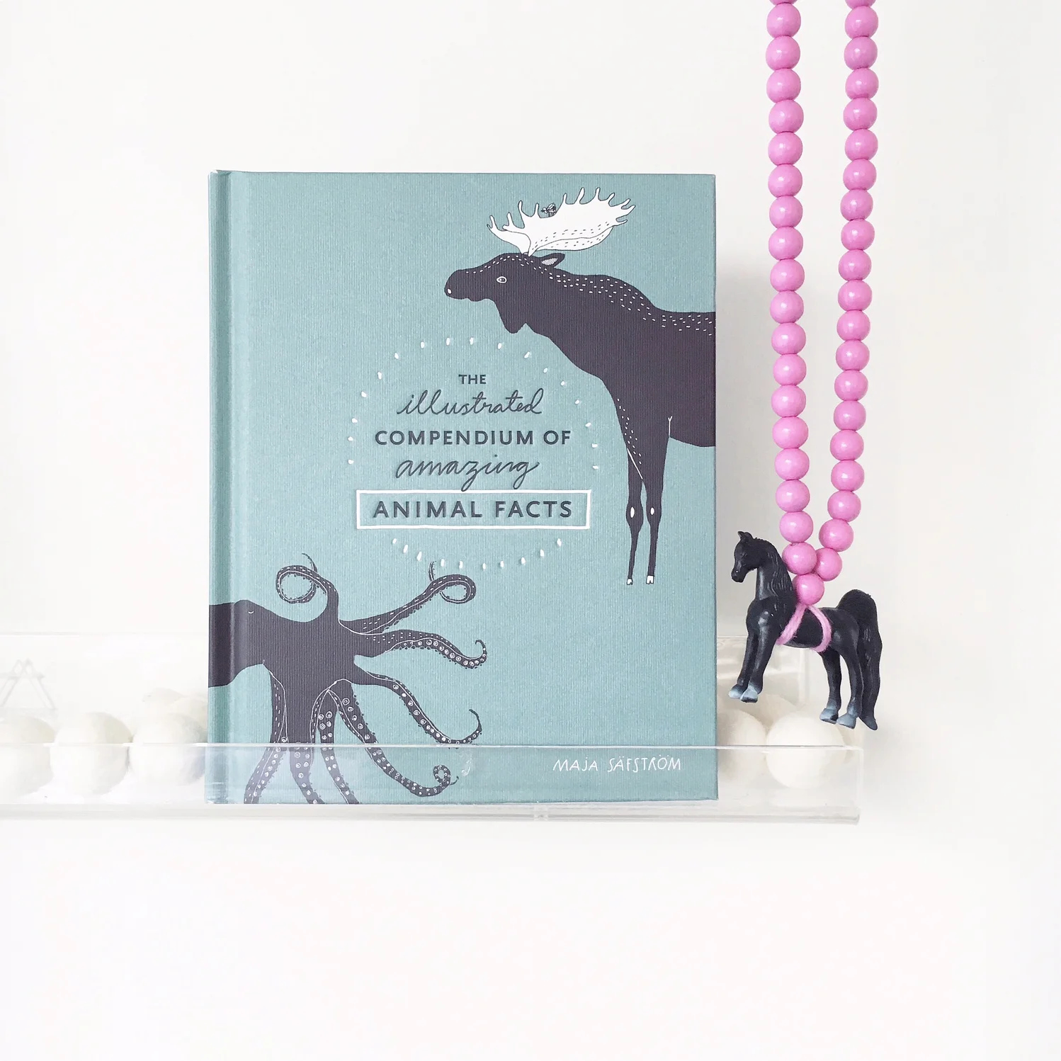 Book by Maja Safstrom. Purchased through The Little Vikings. Necklace also The Little Vikings.