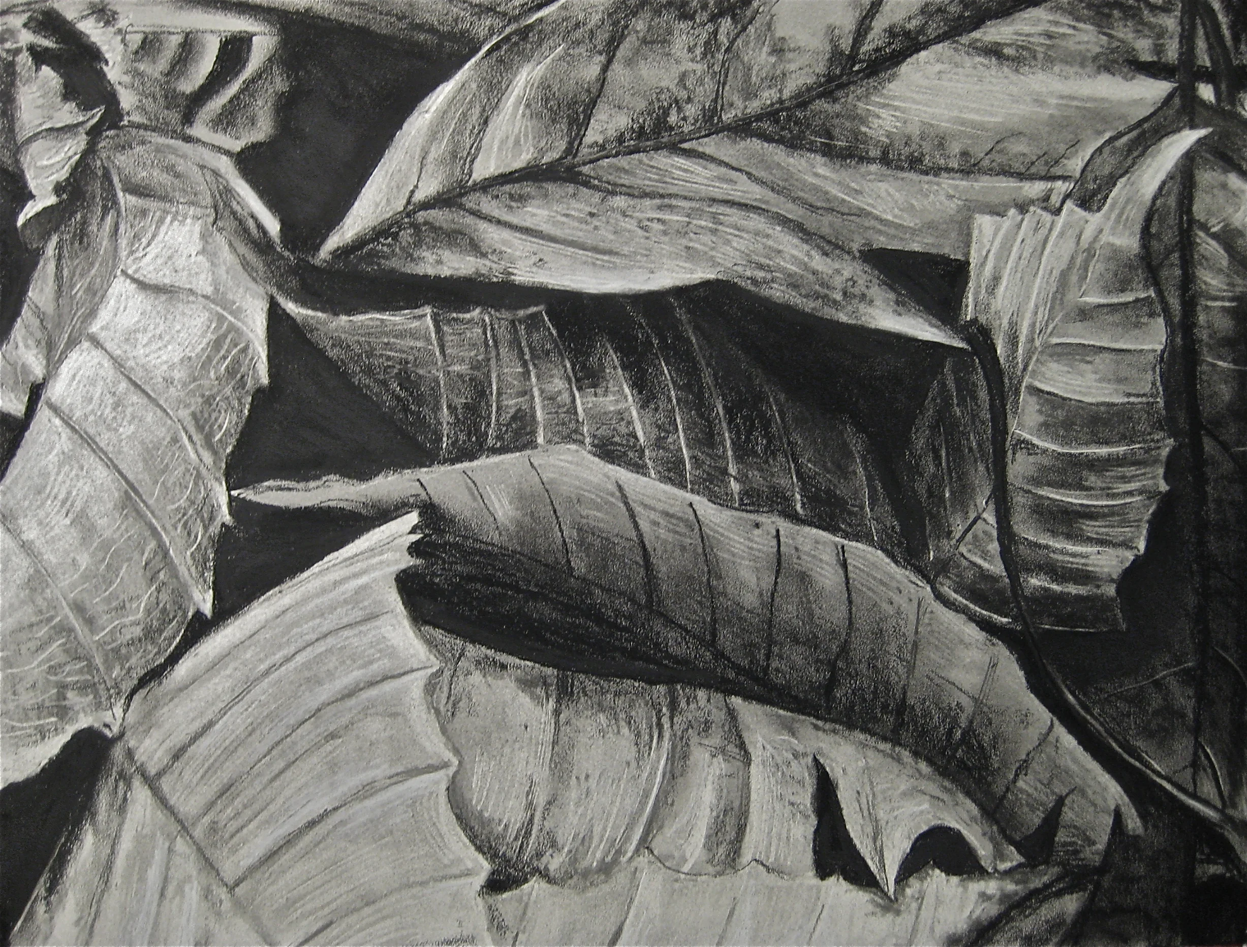 Drawings Eric Slade Fine Art Drawings Eric Slade Fine Art