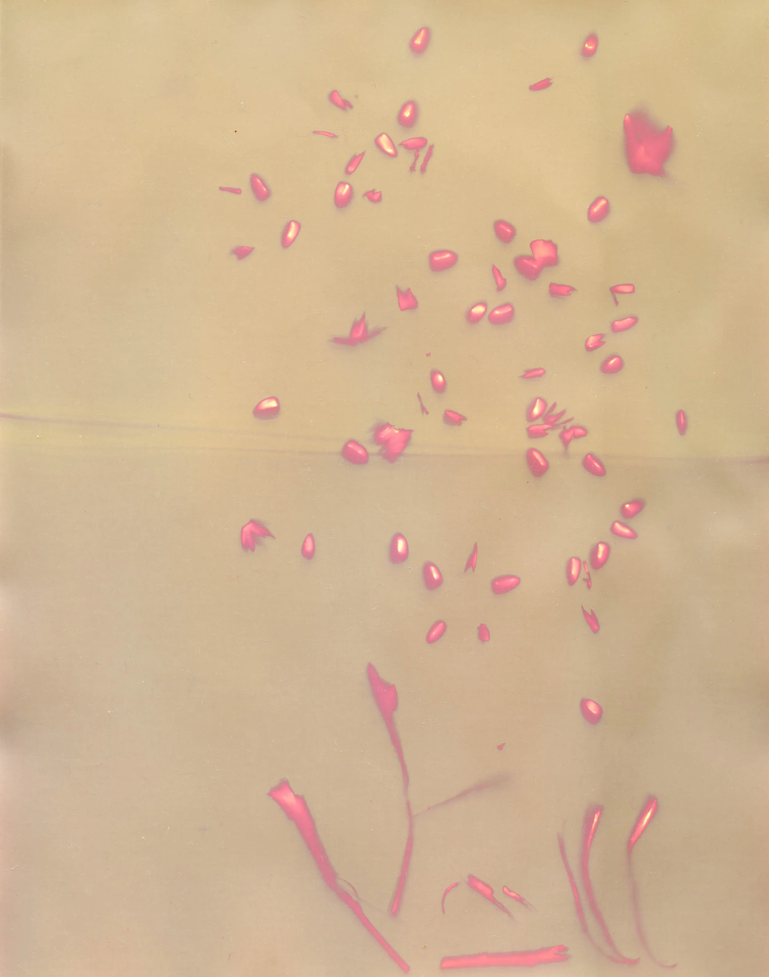 Seed Float