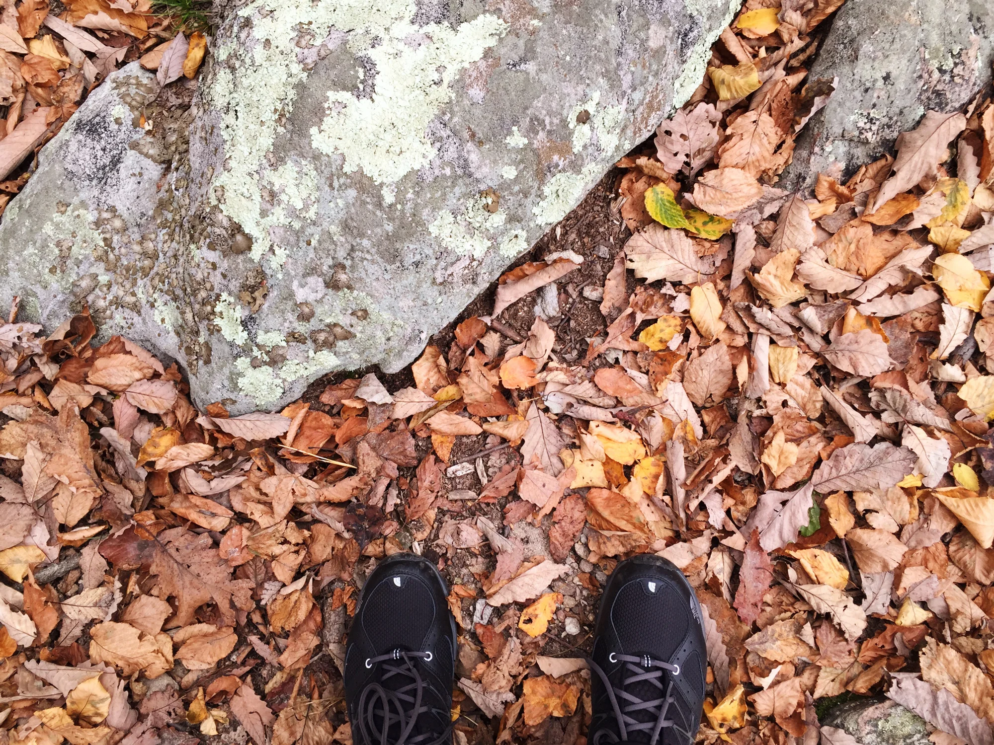 hiking-feet.jpg