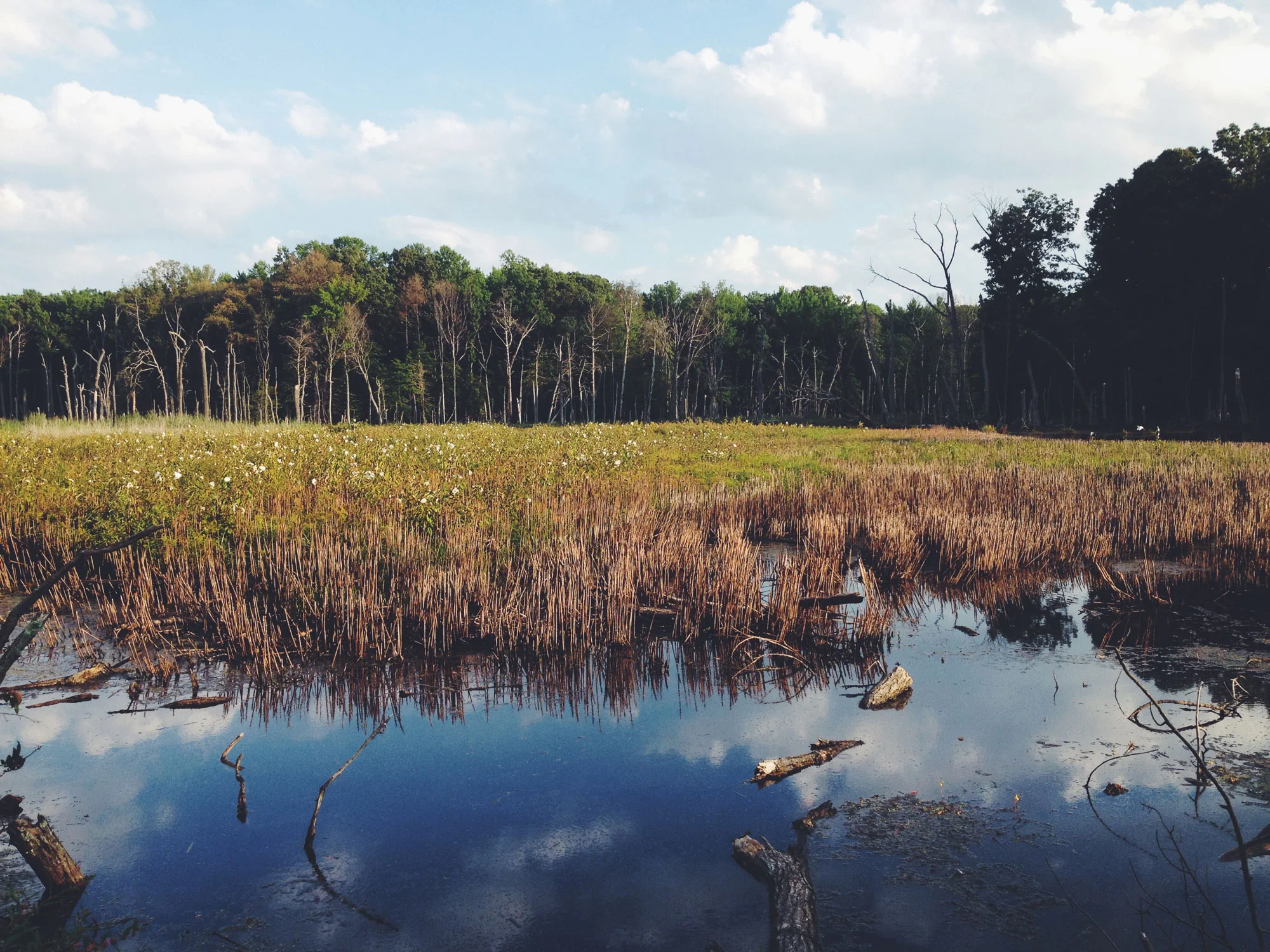 north-shore-park.jpg
