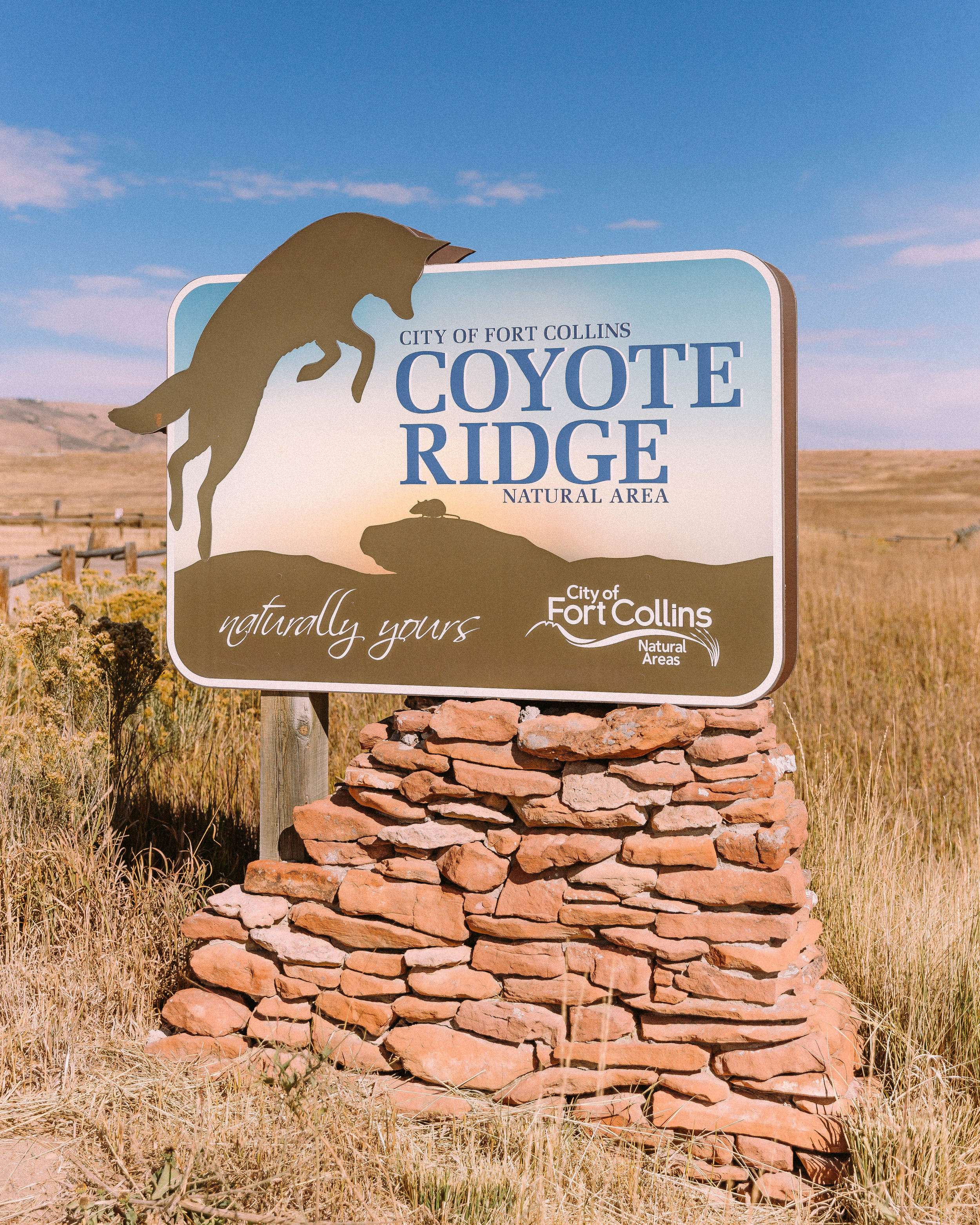Coyote Ridge near Fort Collins, CO