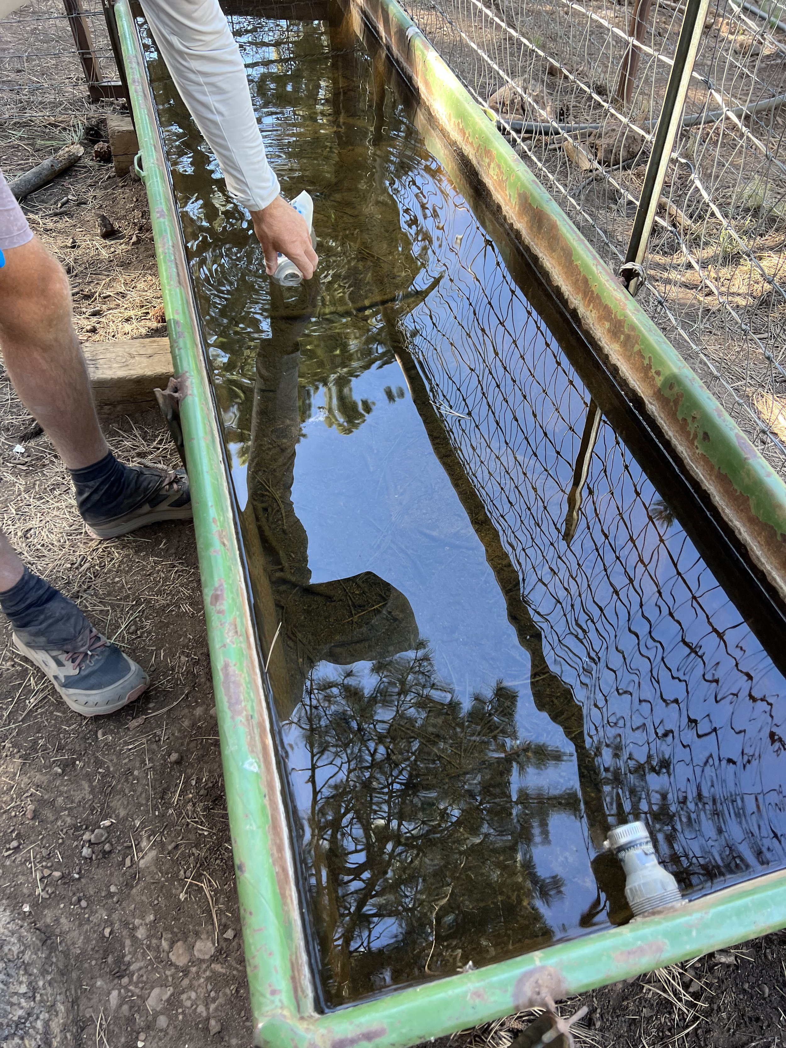  the water was very clear and tasted good- thankfully 