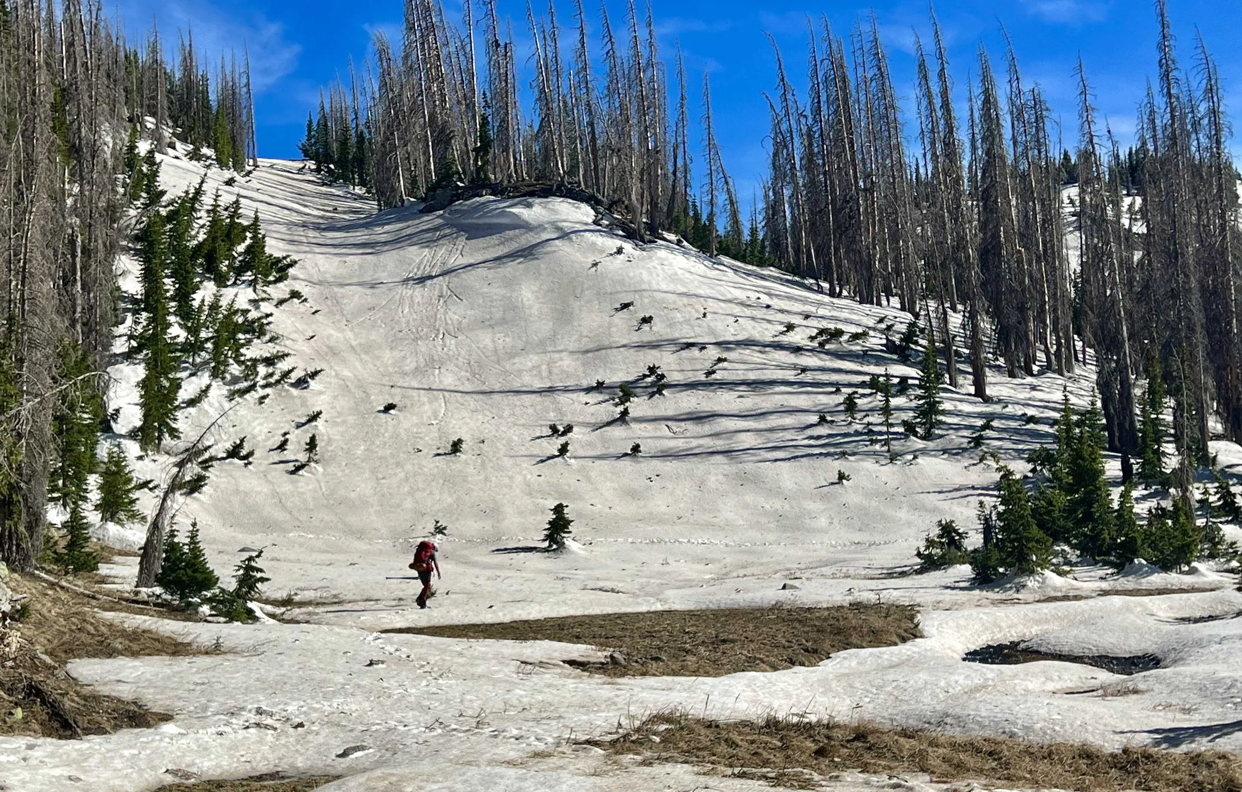  Tesla walking ahead as we forged our own trail to Blue Lake 