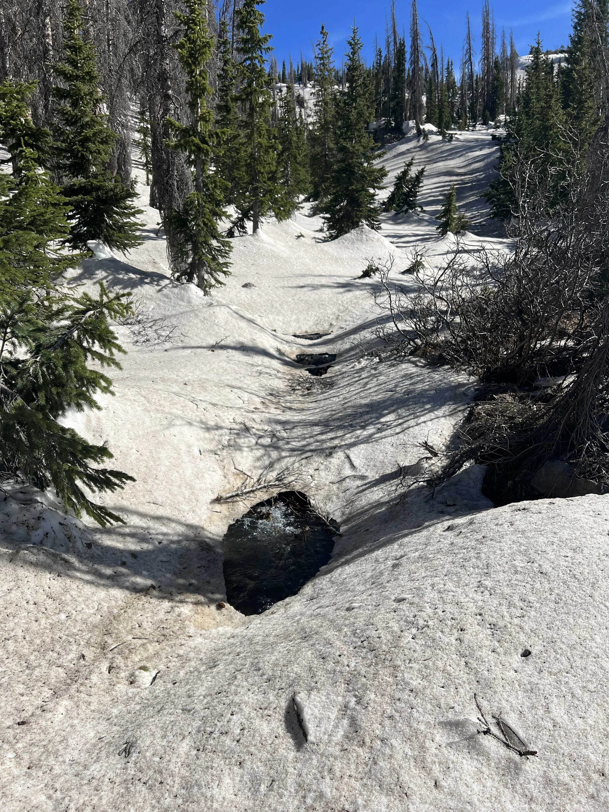  Gotta be careful when walking on top of the snow, sometimes there is a stream underneath! 
