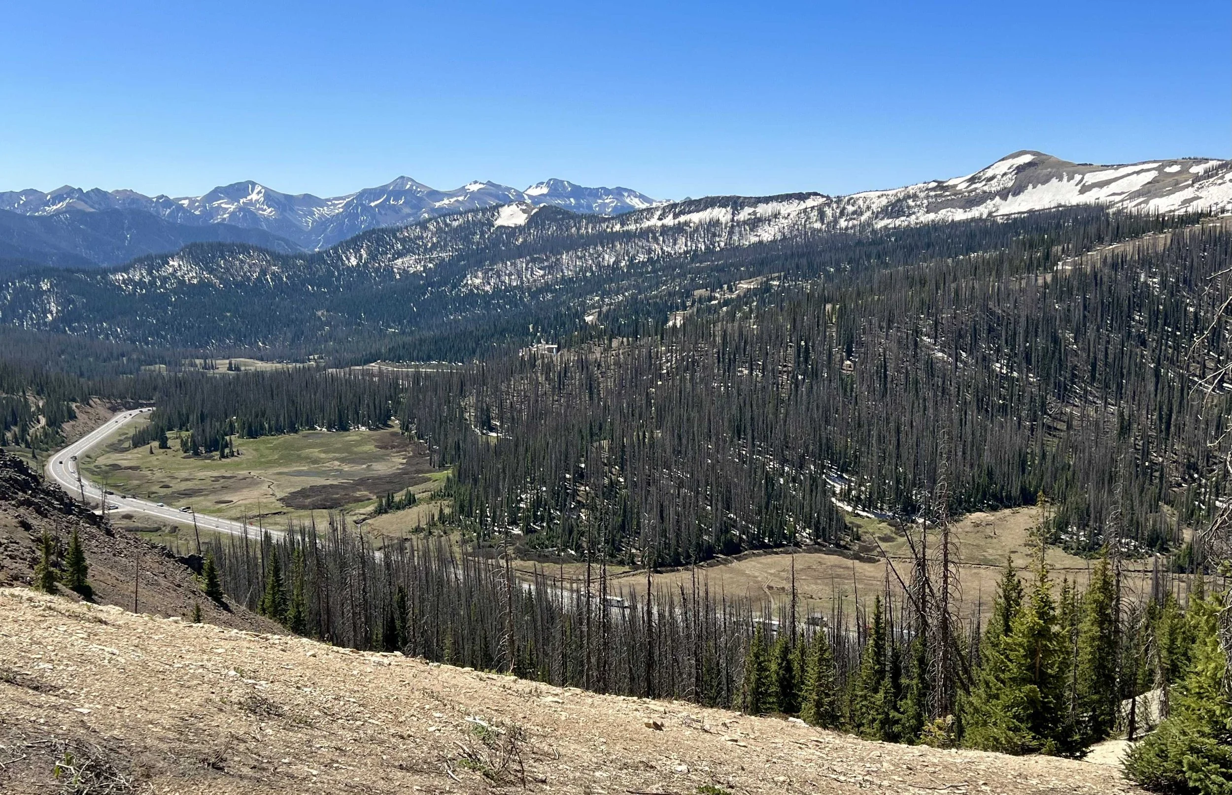  Looking down at Wolf Creek Pass 