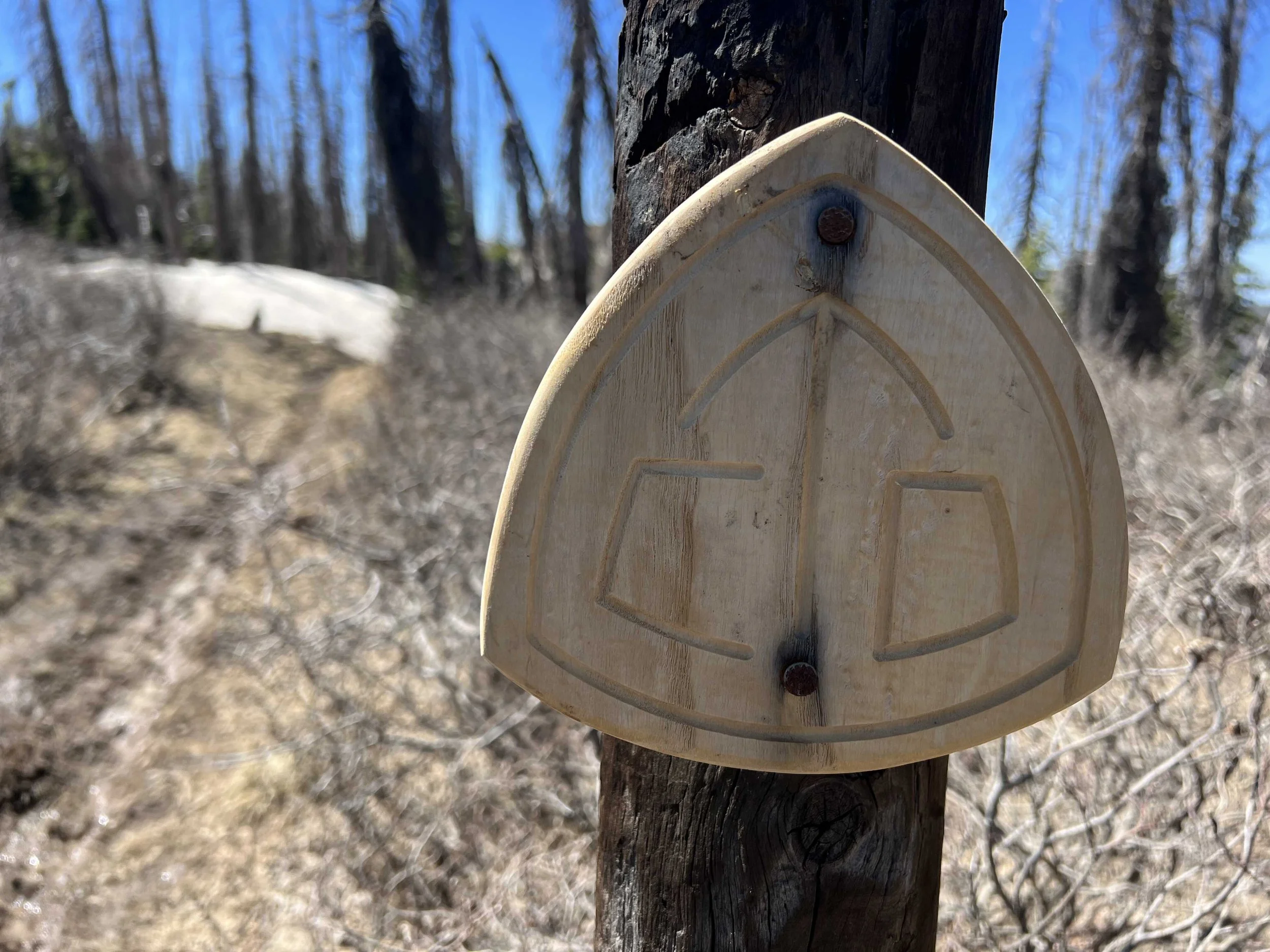  I love seeing different CDT trail markers 