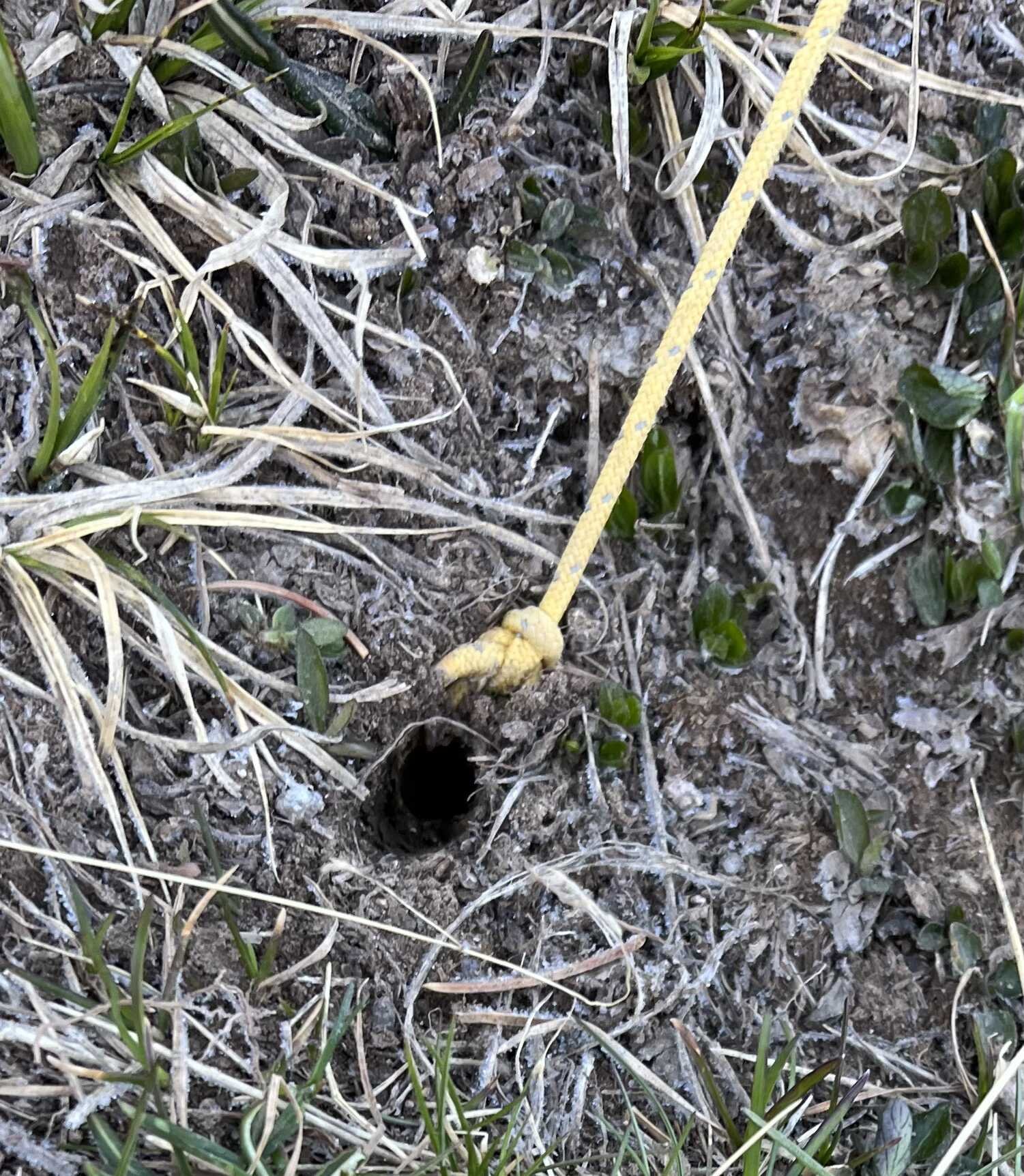  the ground was so frozen this morning that the tent line stayed secure without the tent stake 
