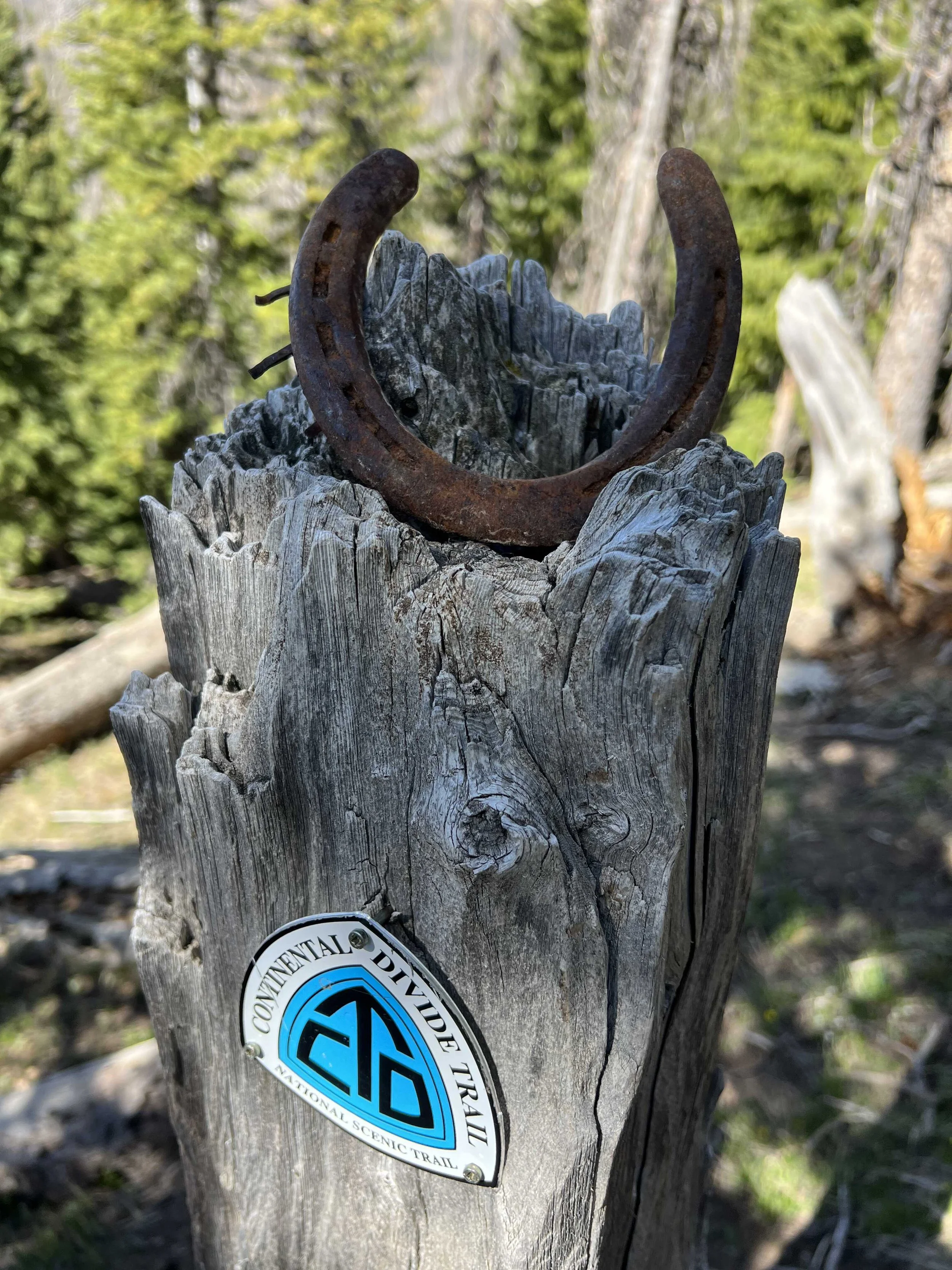  the horseshoe is a nice touch 