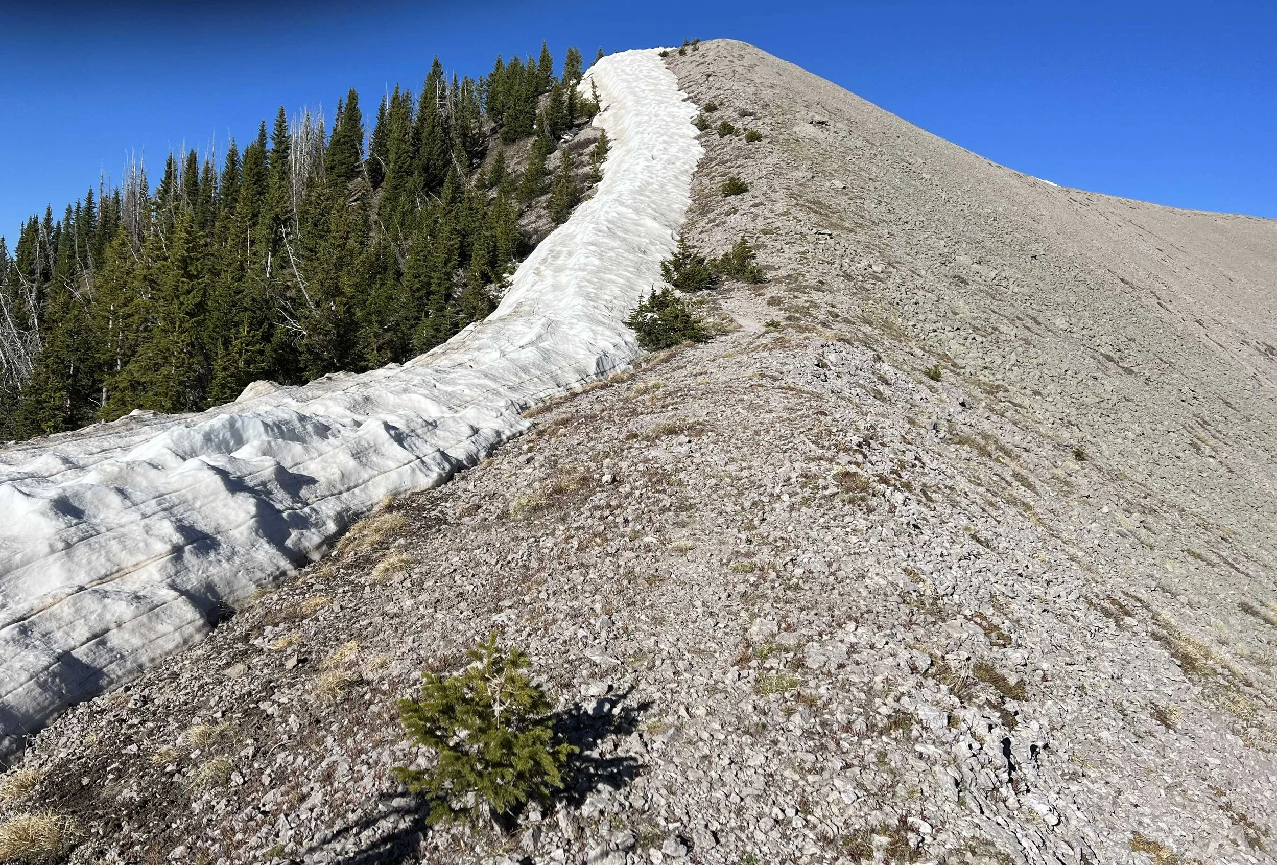  heading up to the very top! 