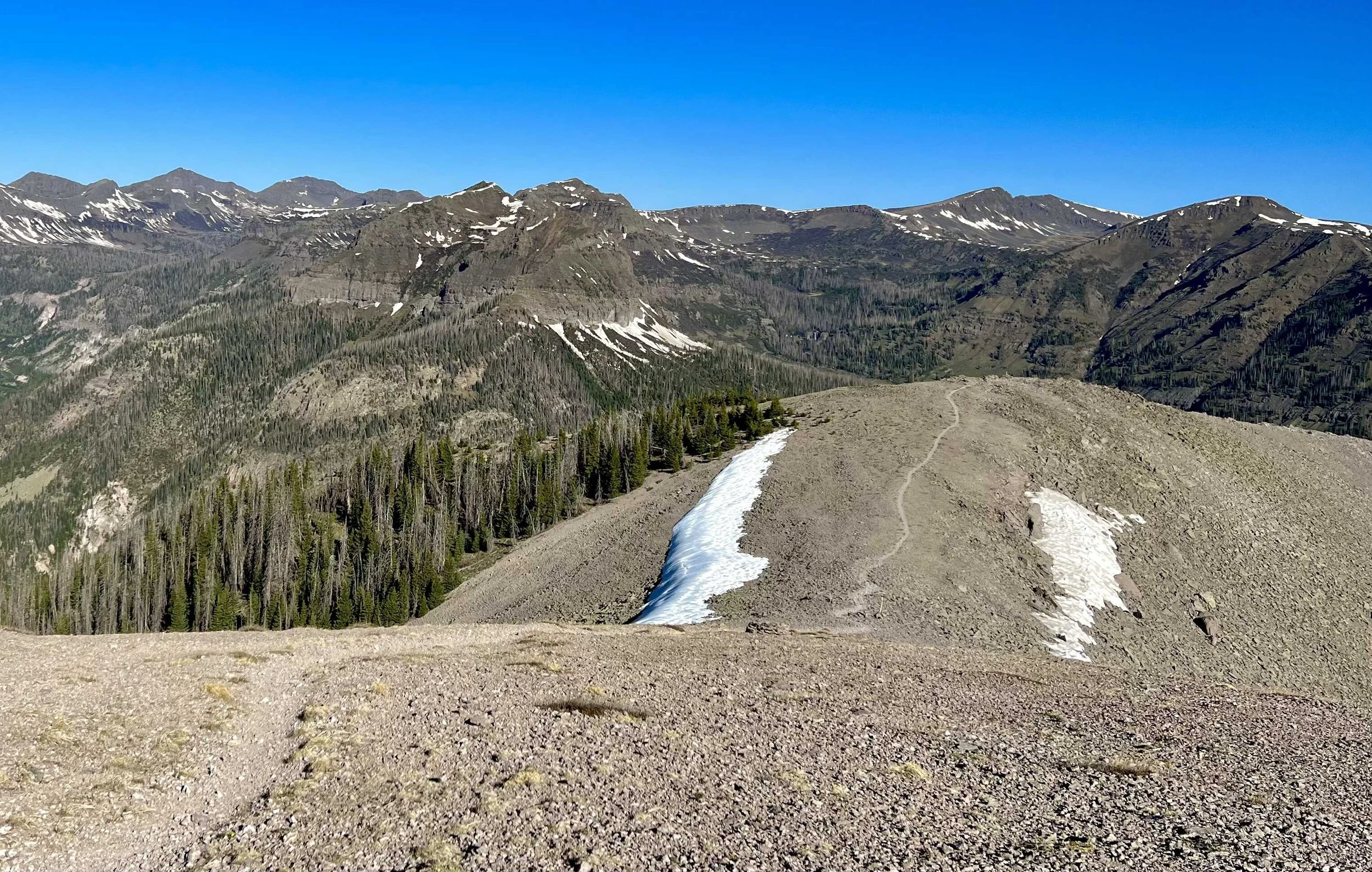  On the ridge line for a while! 