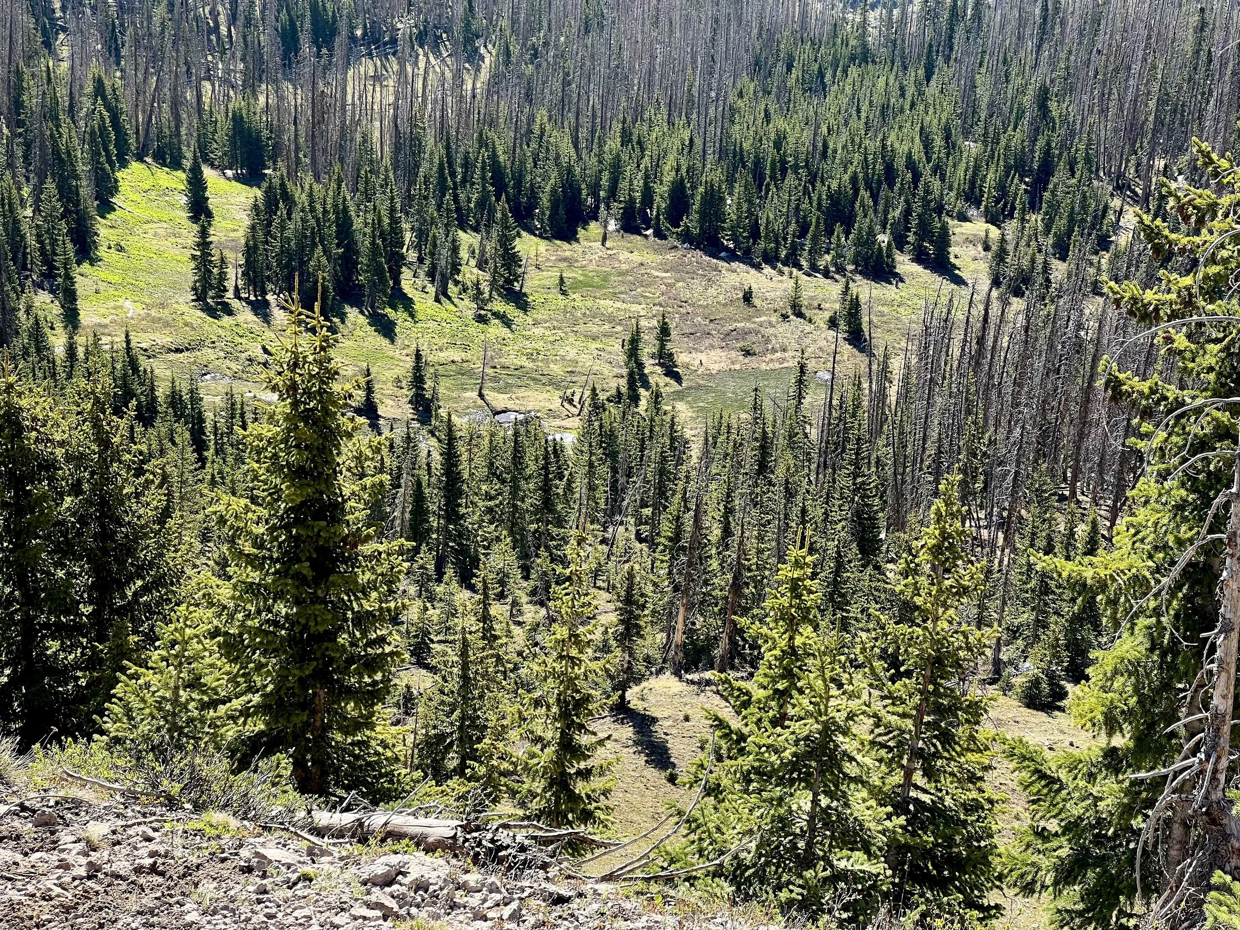  Things are getting pretty green! 