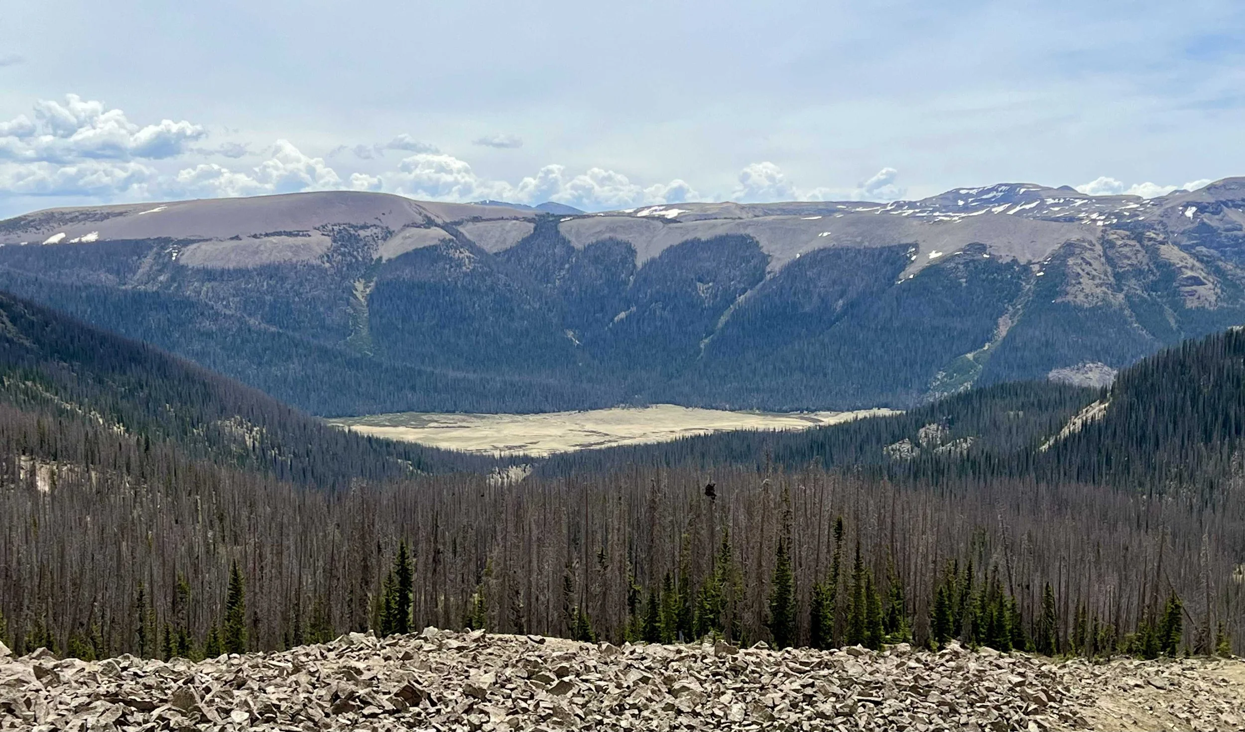  looking back at a meadow we walked across 