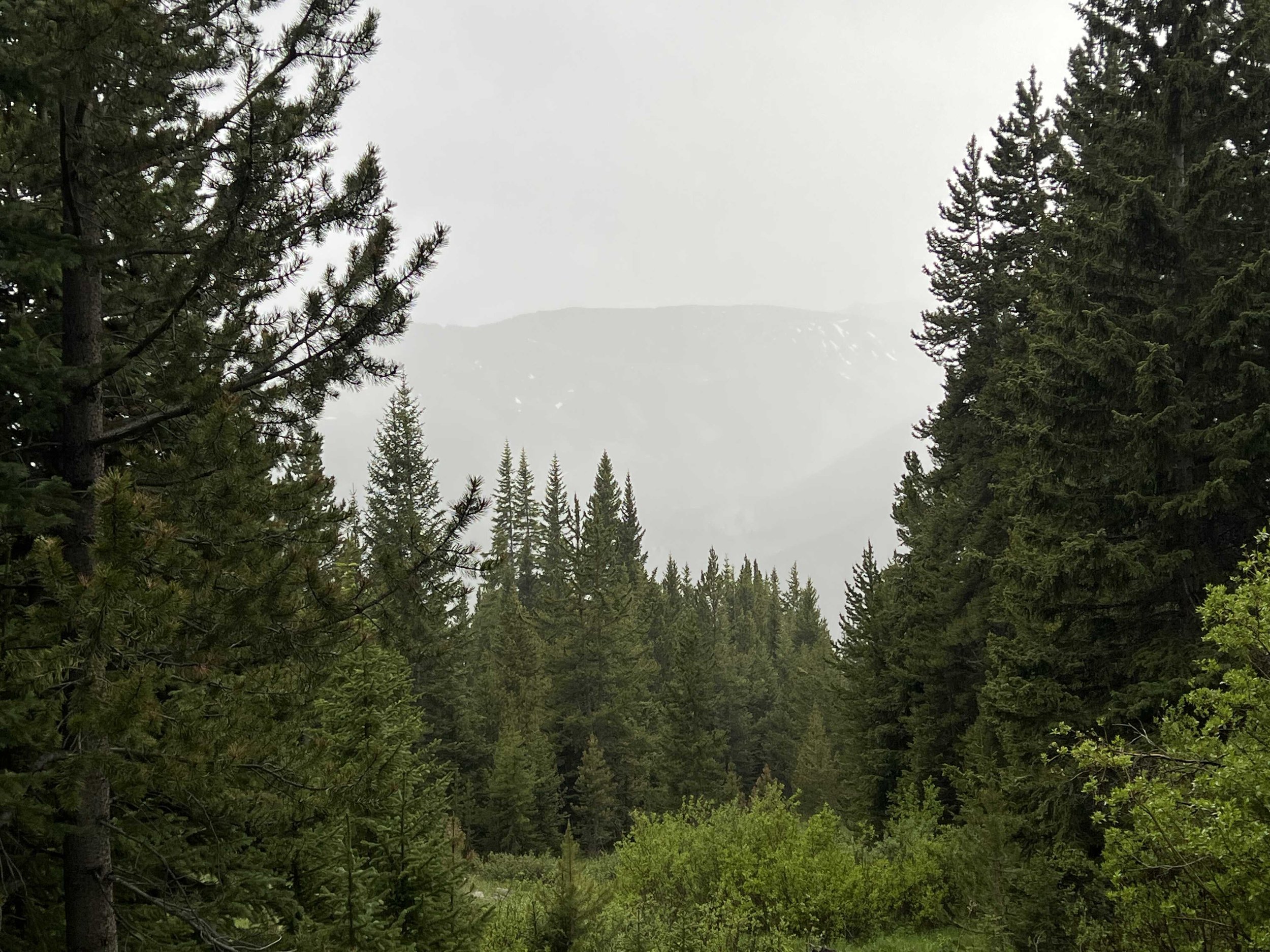  fog and rain obstructed one of the rare views we had today 