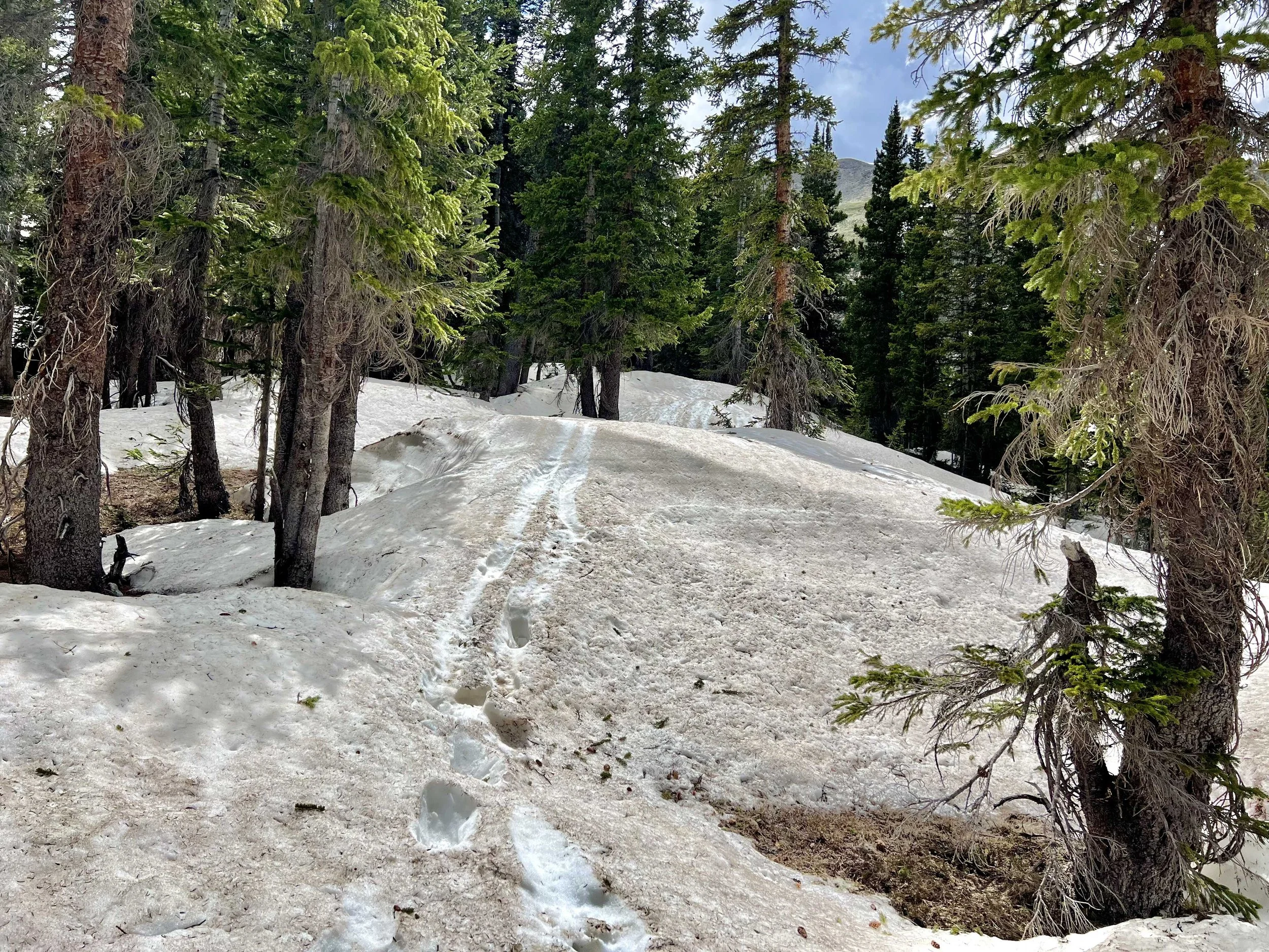  t was fun to walk on the snow as I made my way downhill 