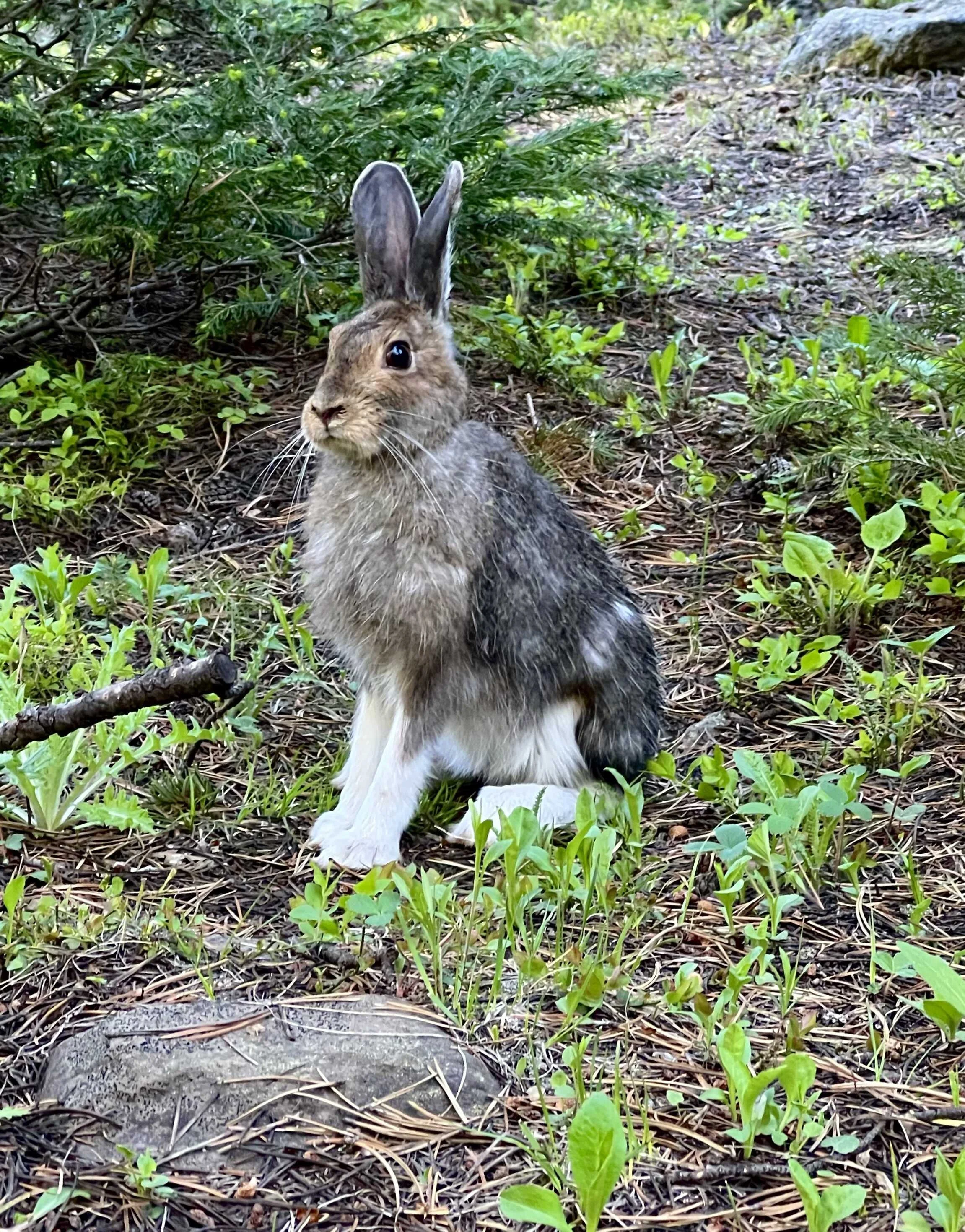  this cute little guy really liked getting his picture taken 