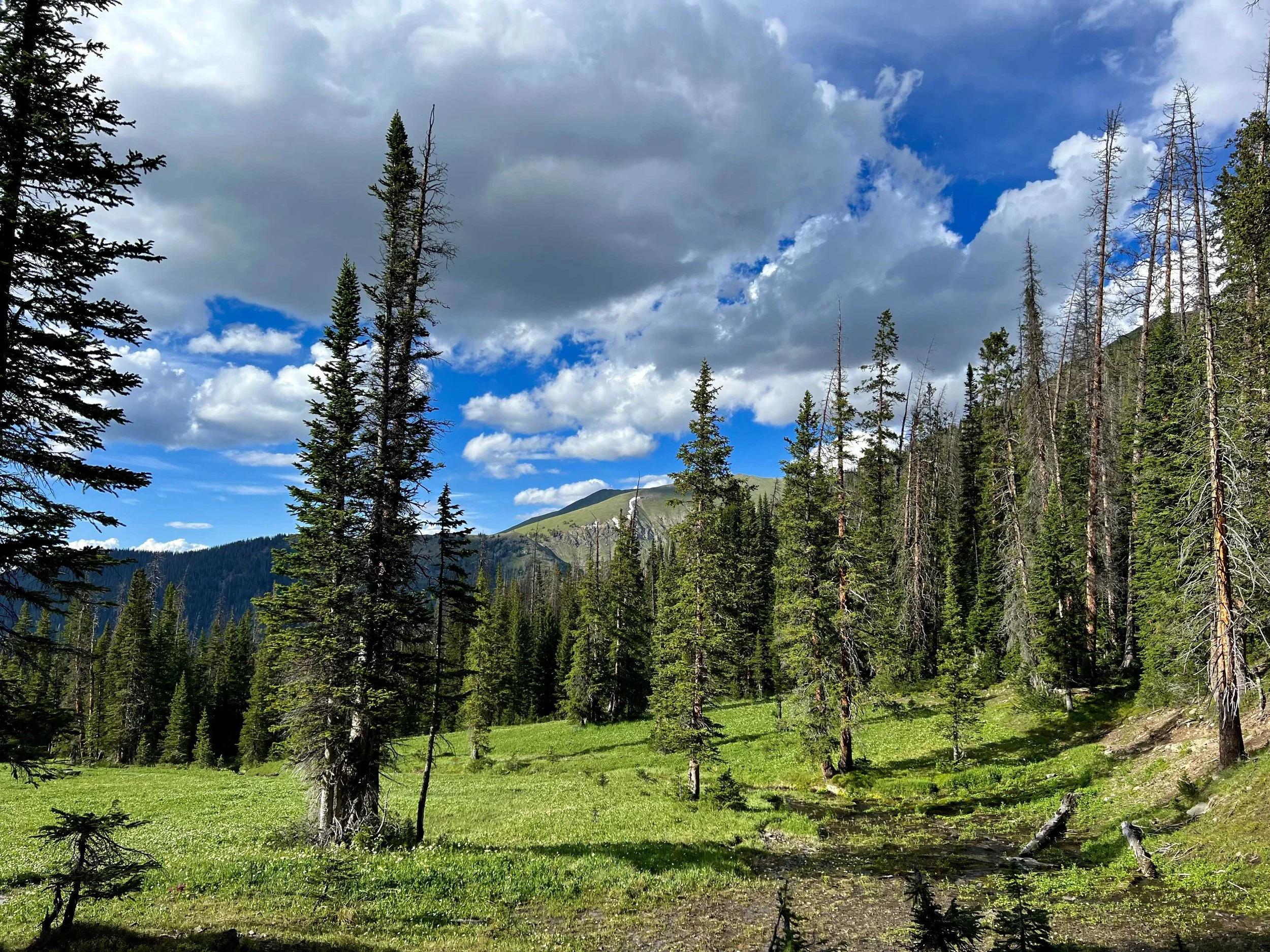  a view from the tent 