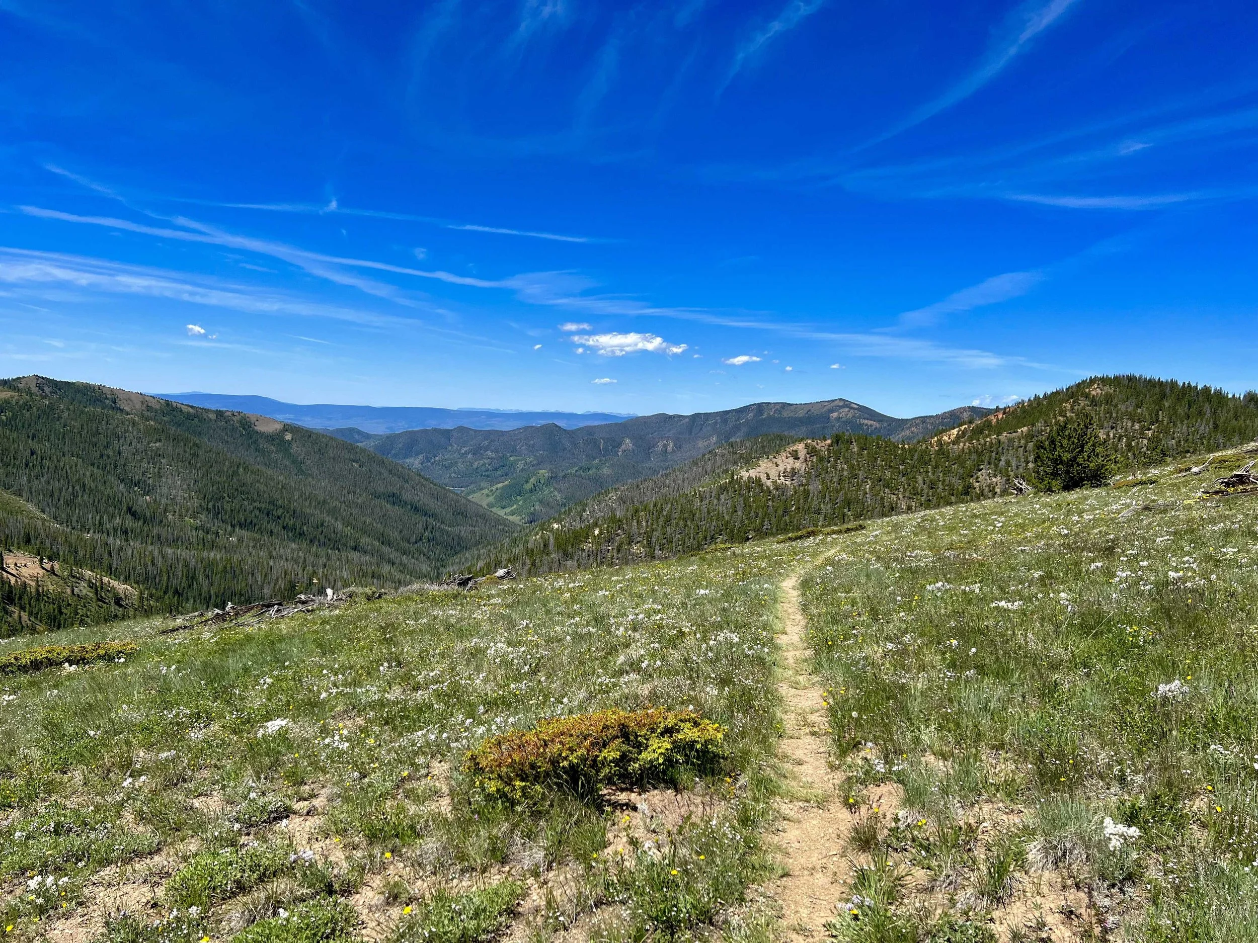  including this picture only because this is where the most beautiful scent was carried on the breeze, like lilacs (undoubtedly the white flowers on the hillsides) - it was heavenly 