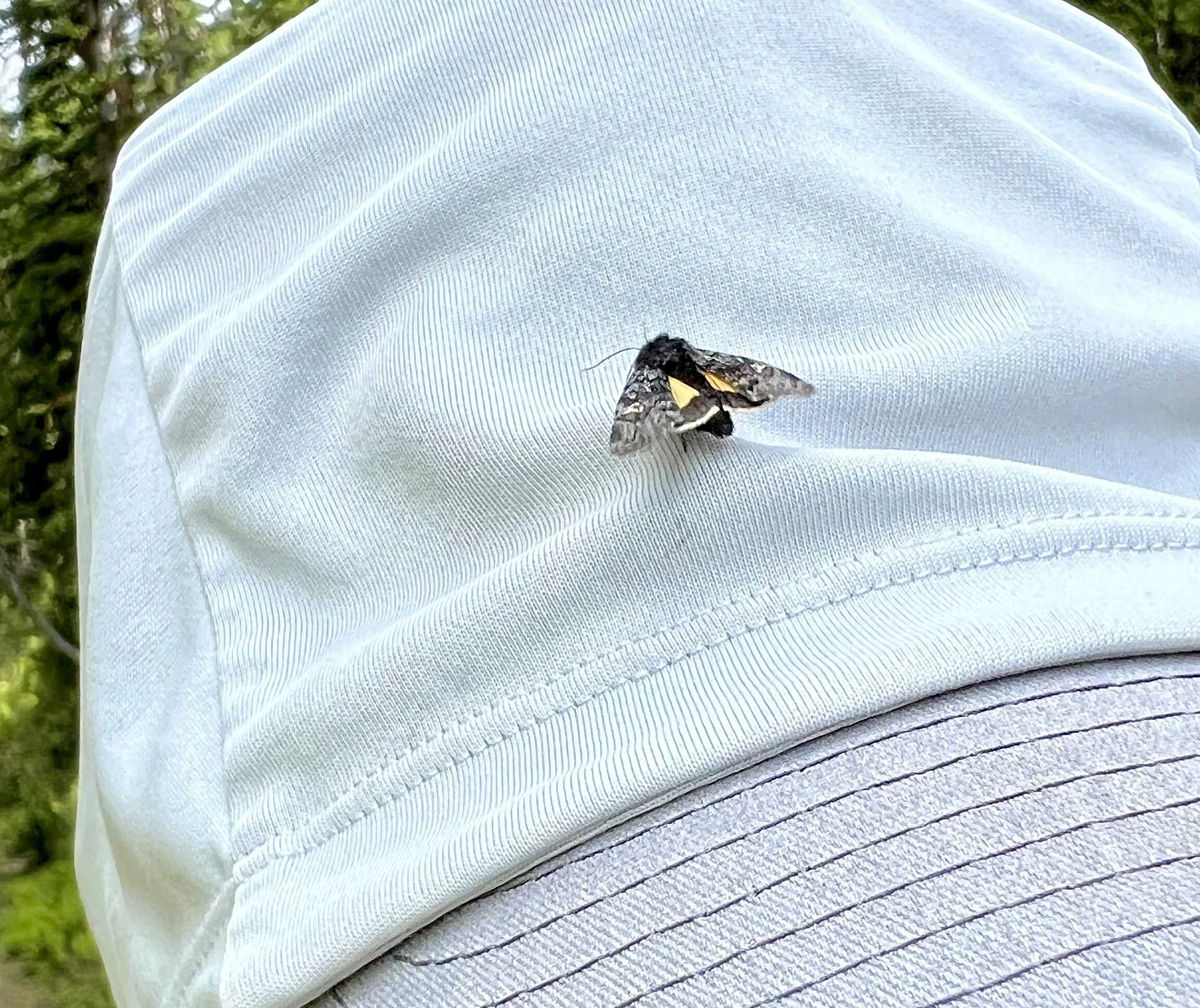  Nick had a little friend on his hat and I was dismayed when he brushed it away. Poor thing, it just wanted a rest 