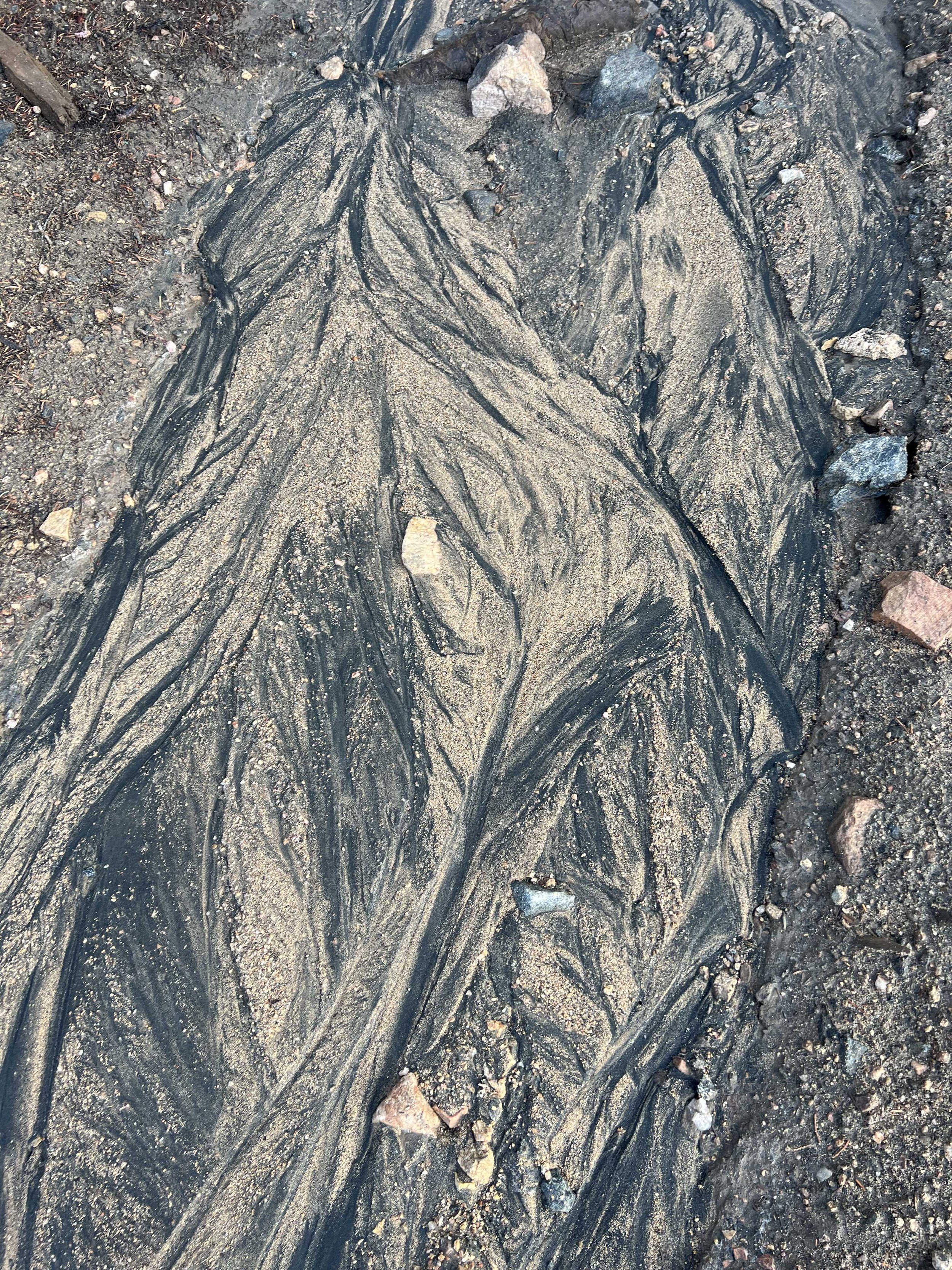  I enjoyed the patterns the water made in the dirt 
