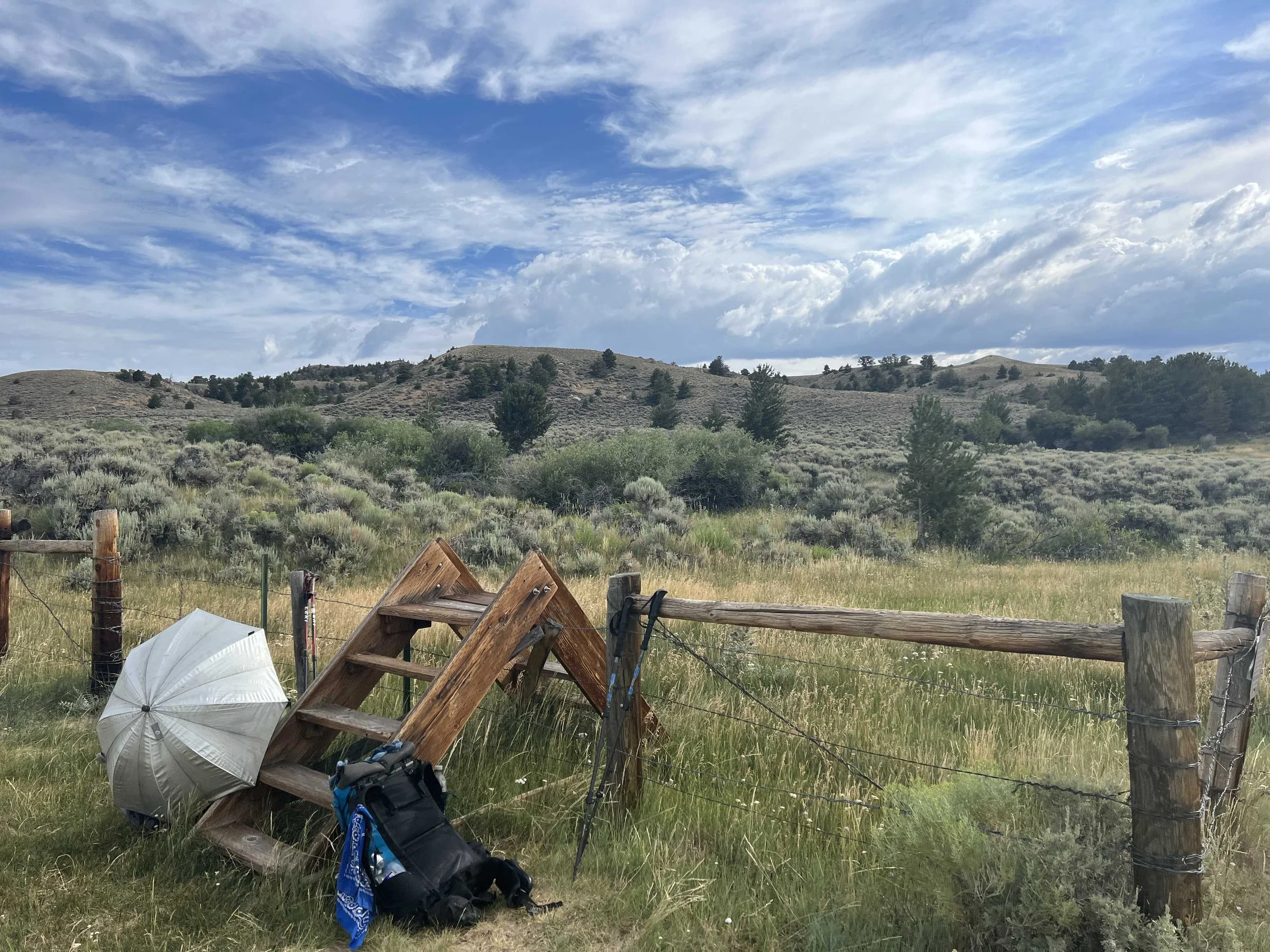  getting to the spring meant we had to walk off-trail in very tall grass, but the water was cold and clear so I suppose it was worth the effort 