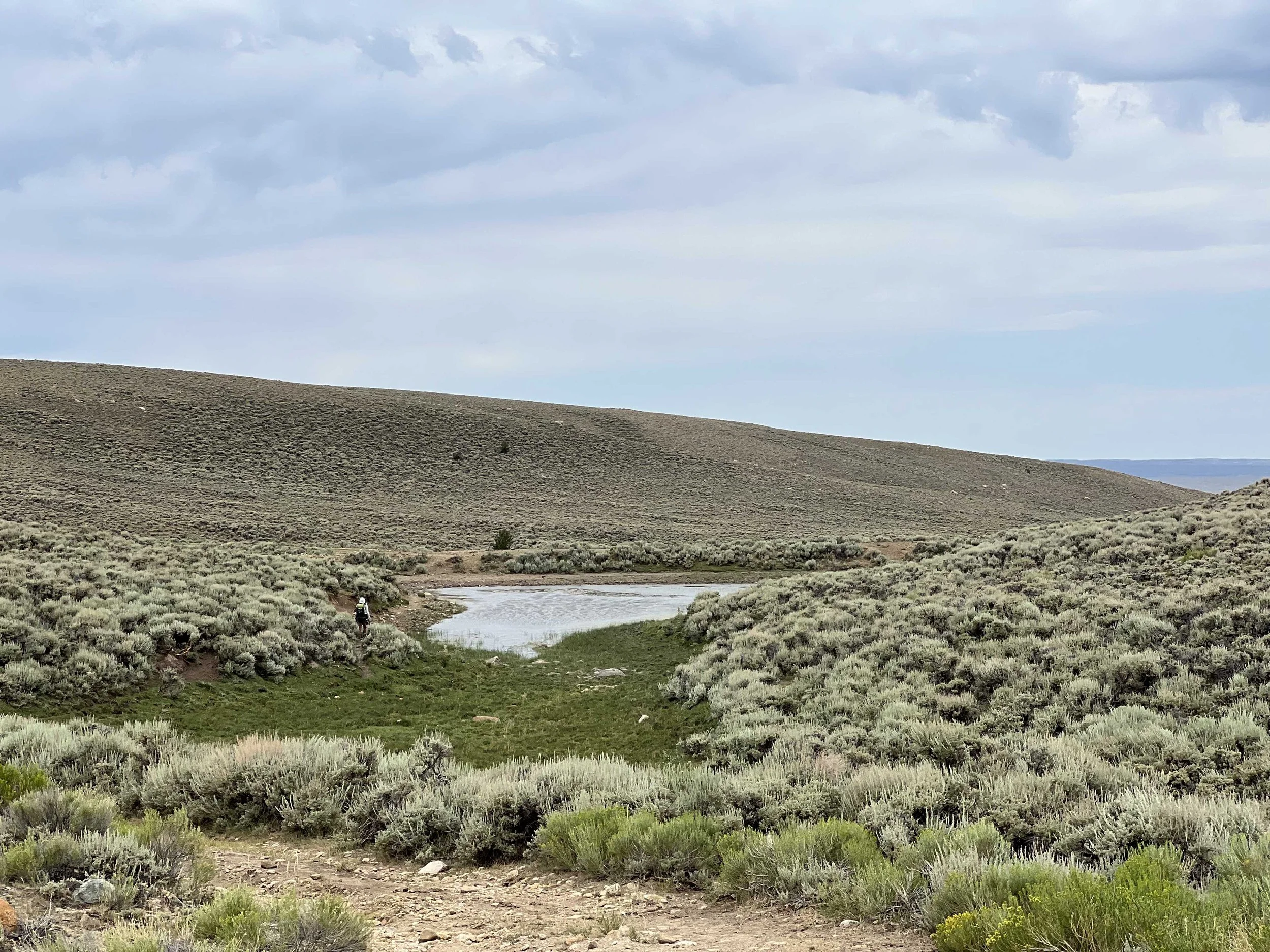  this cow pond wasn’t the best, but it definitely wasn’t the worst we’ve had on this trail 