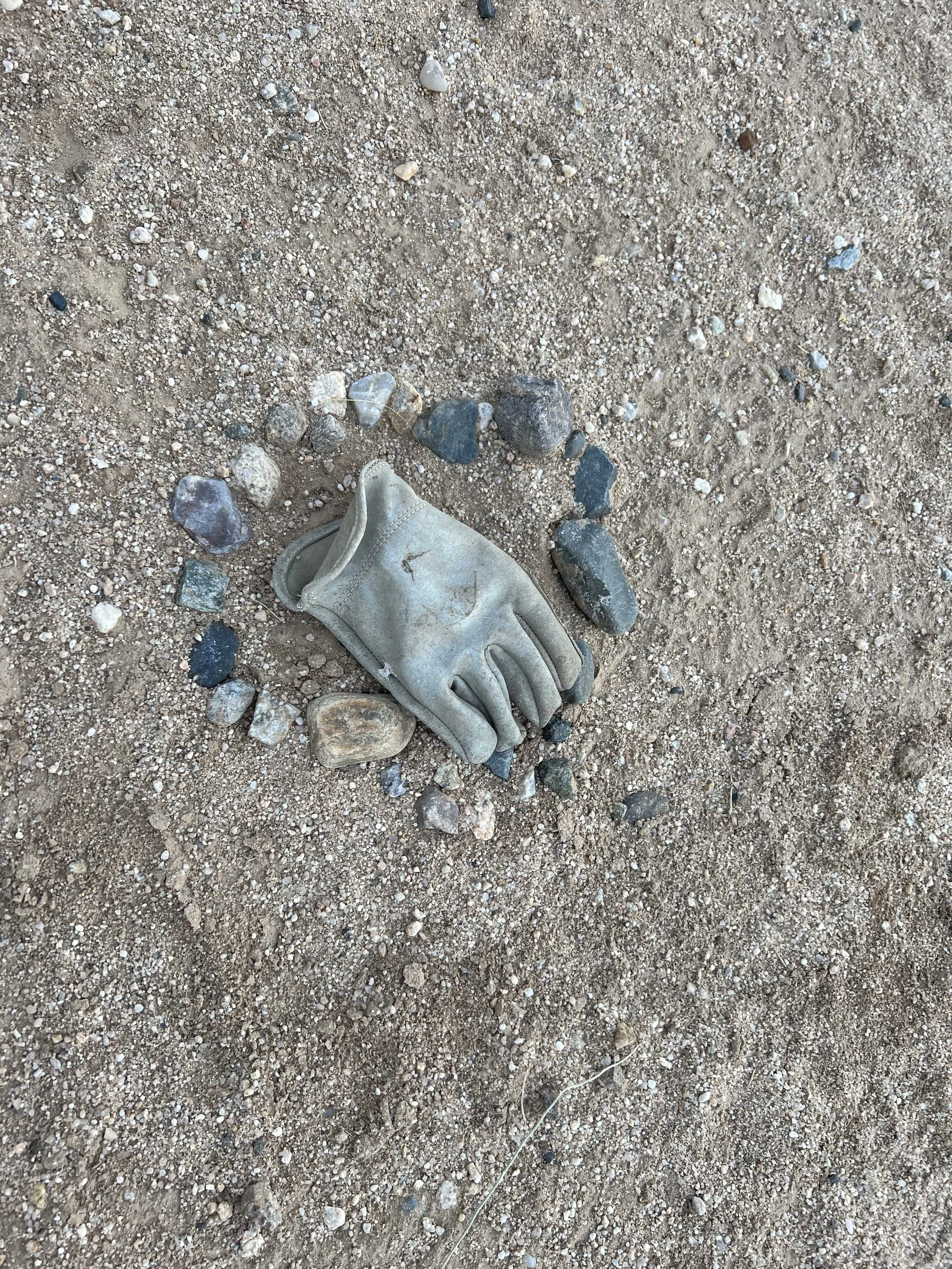  haha, this glove is so honored 