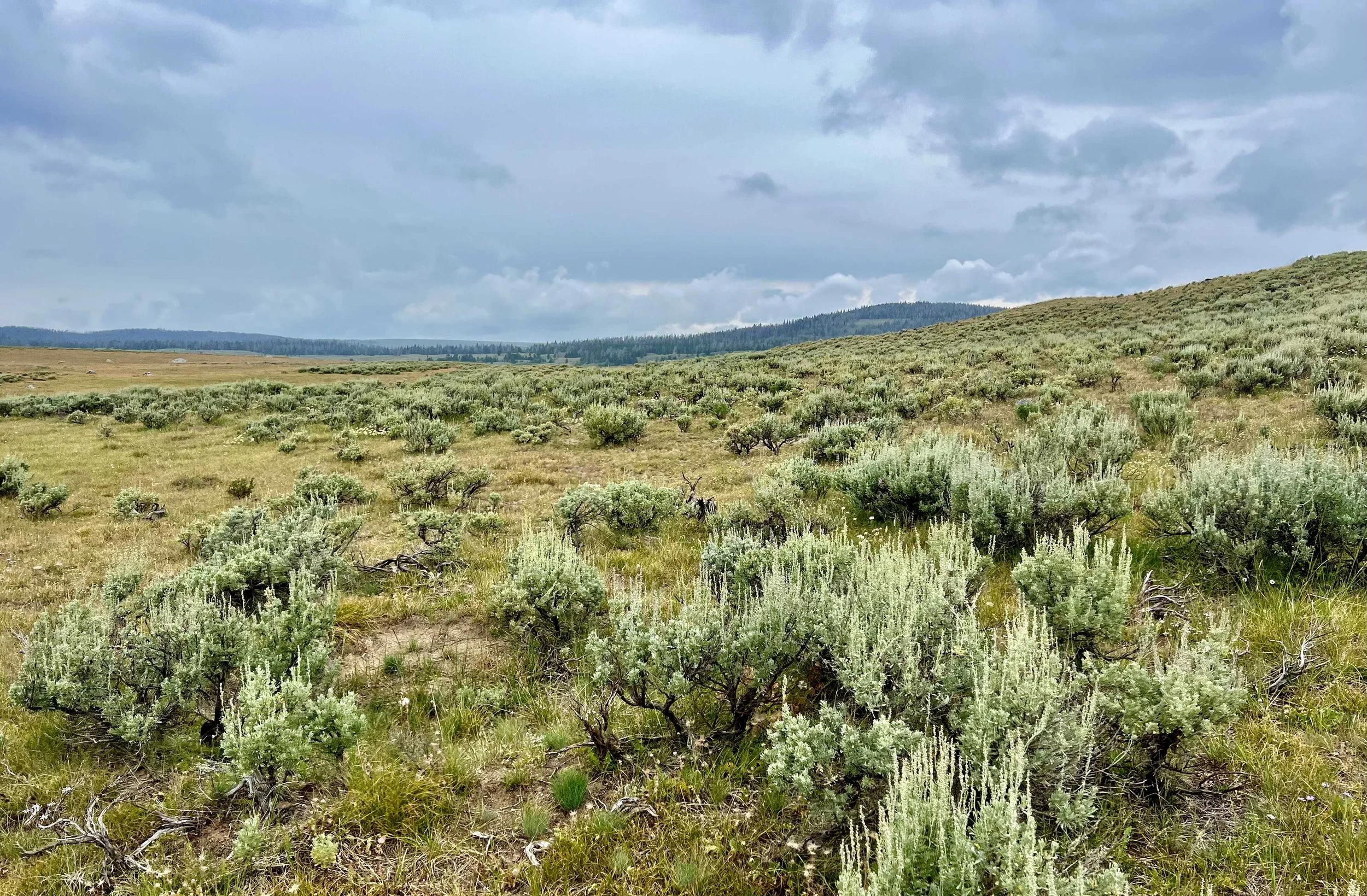  back to rolling hills and sagebrush 