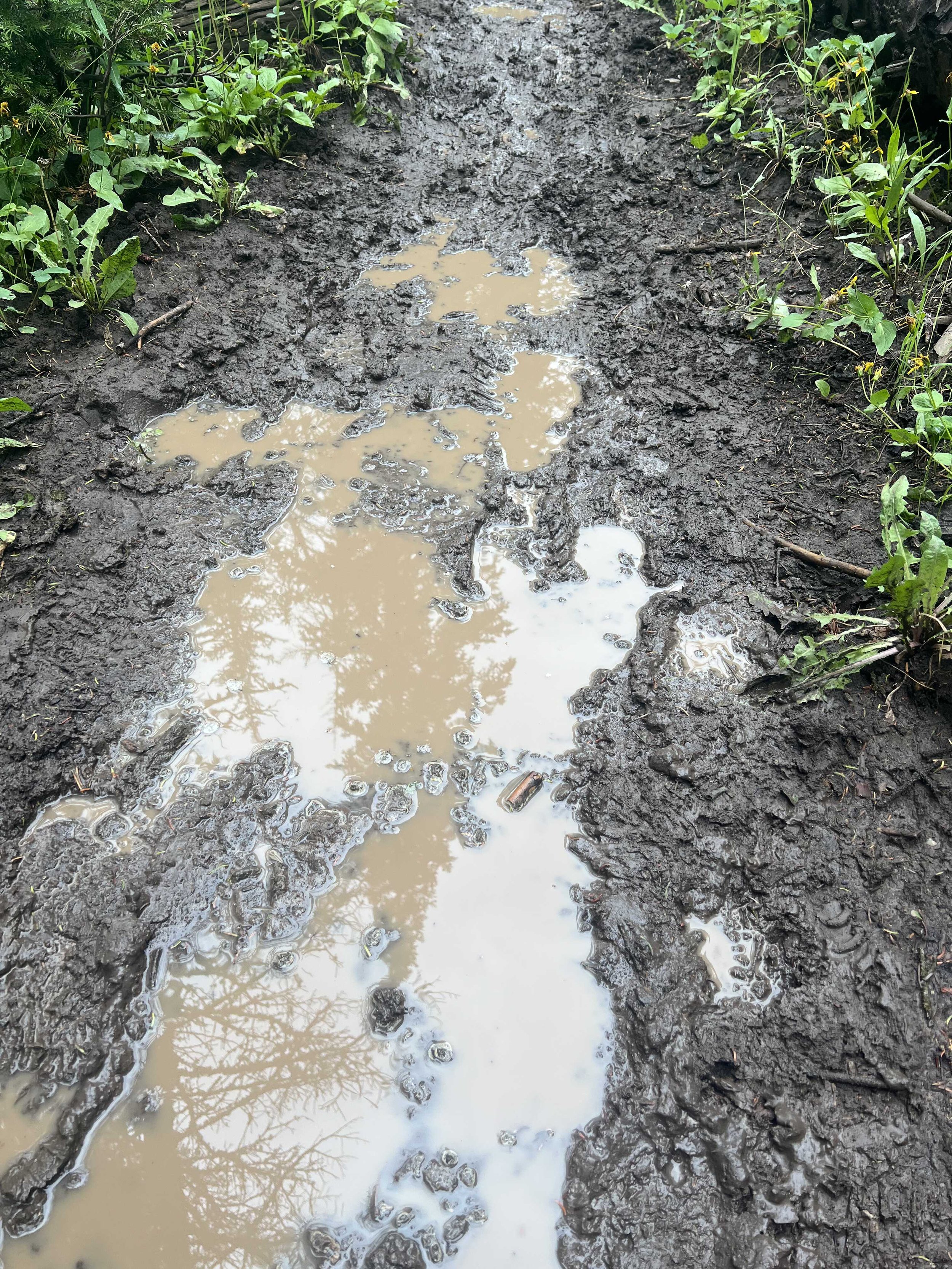 this was the trail most of the day. Not fun 