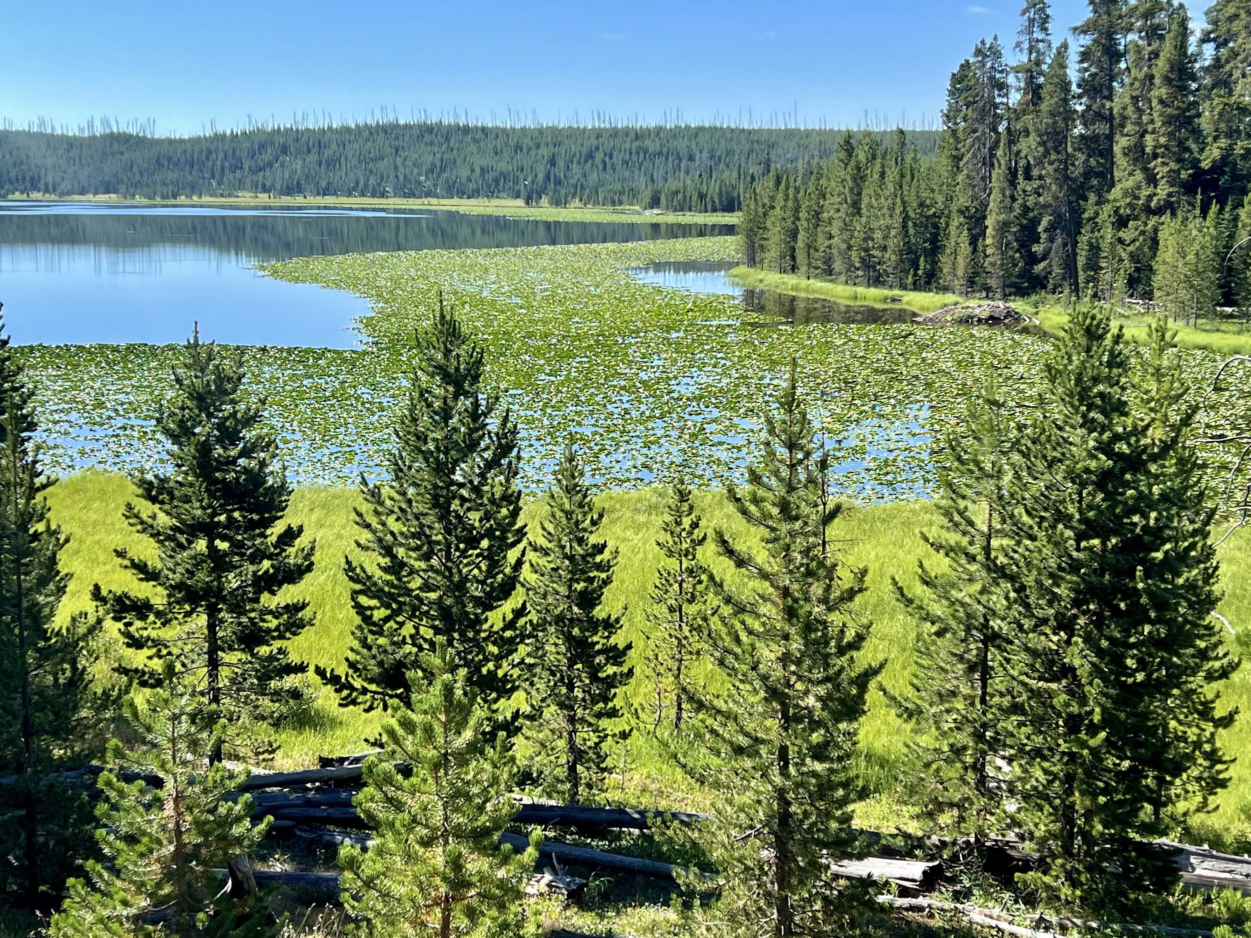  Ice Lake 